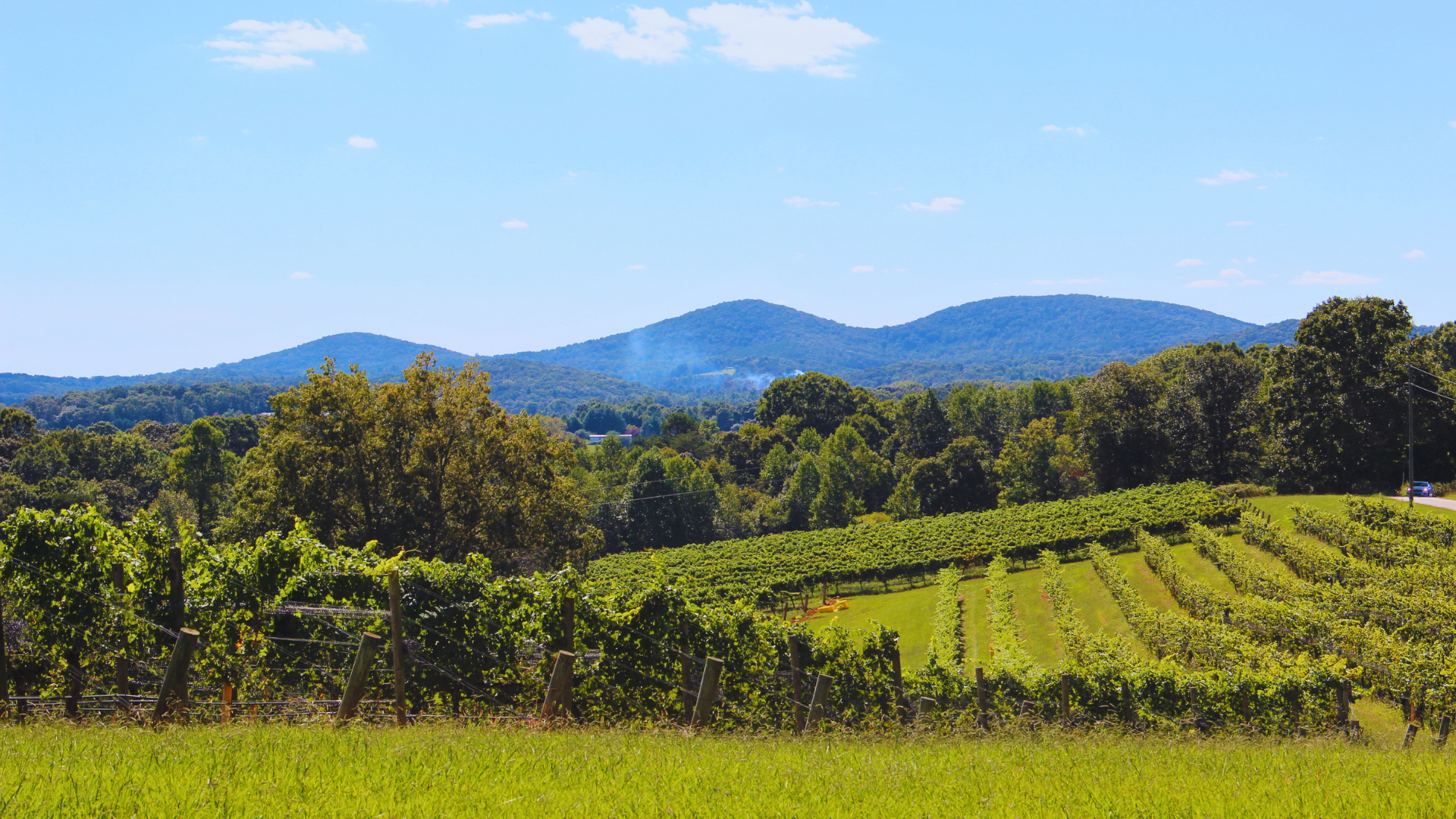 Living in Dahlonega, GA: An Honest Local's Guide (2026)