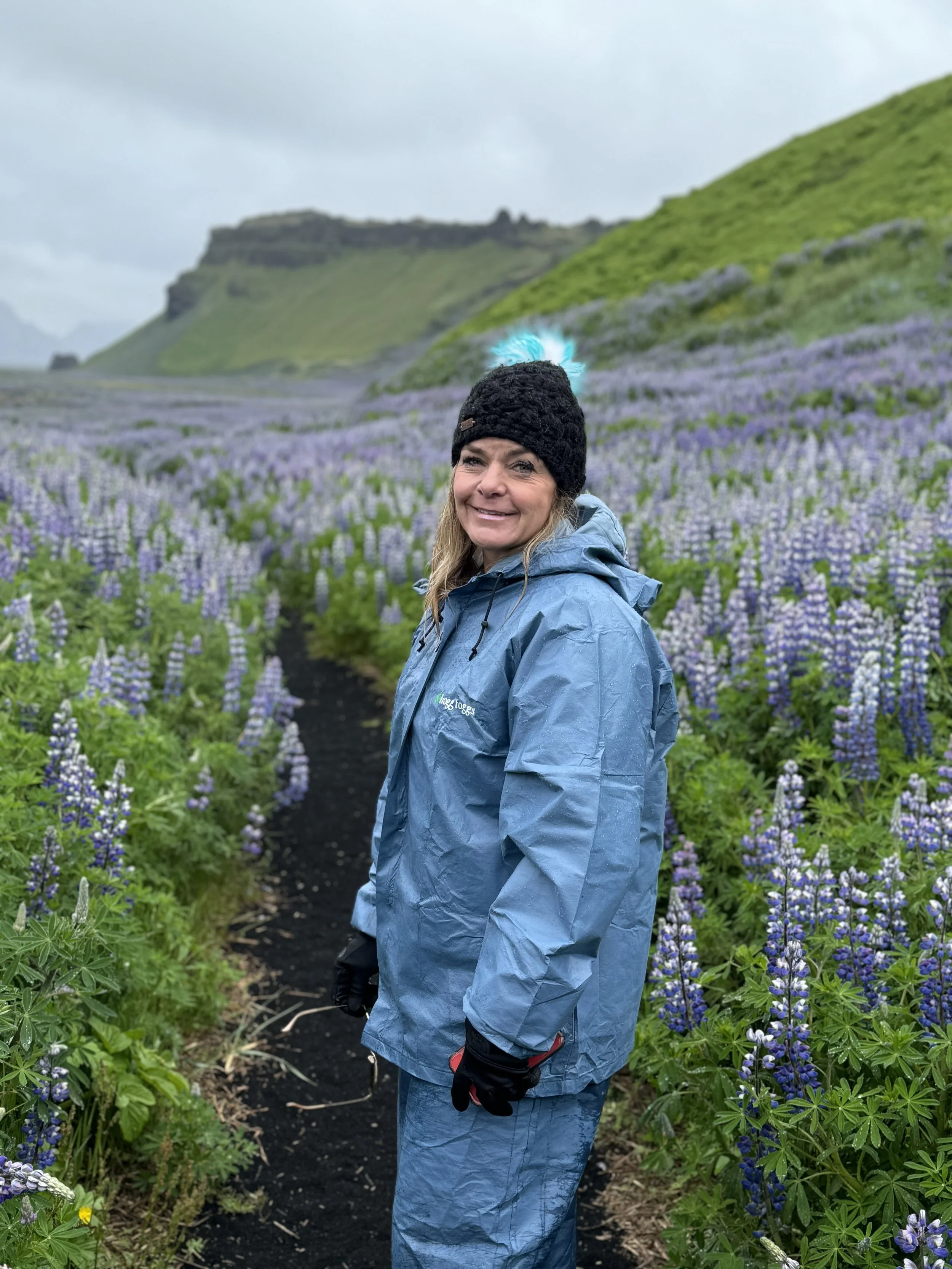 Hiking in Viking Park, Vik, Iceland