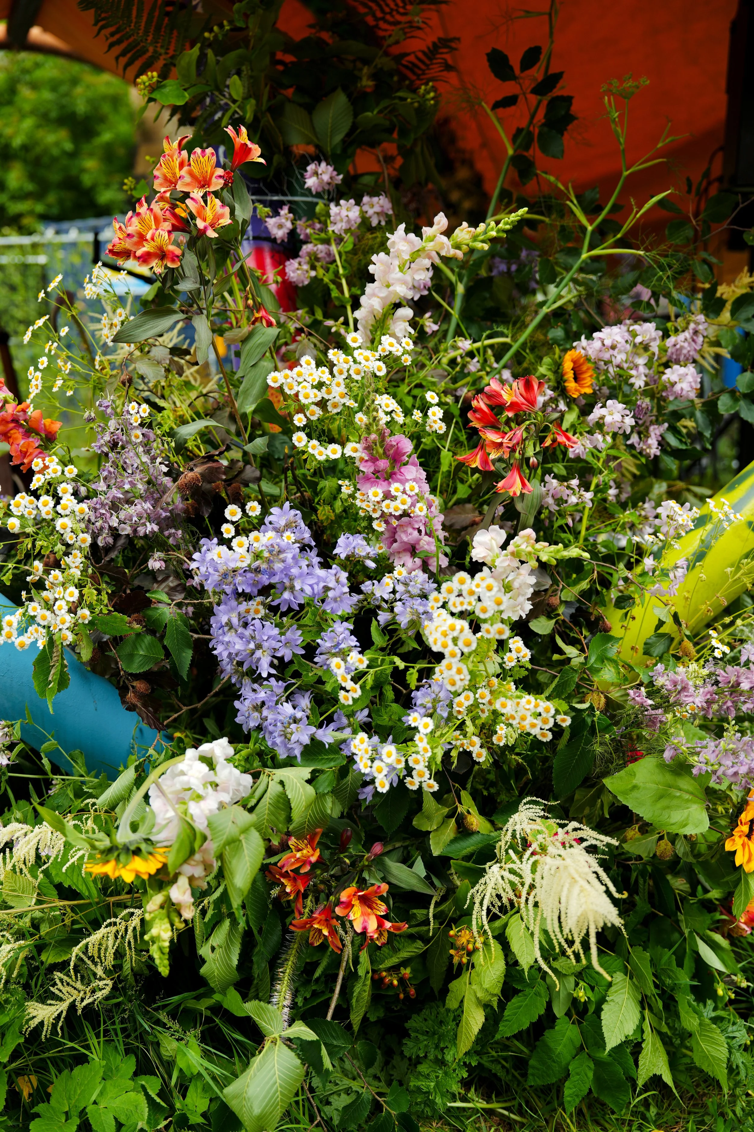 A dense collection of various colorful flowers and green leaves in a garden setting.