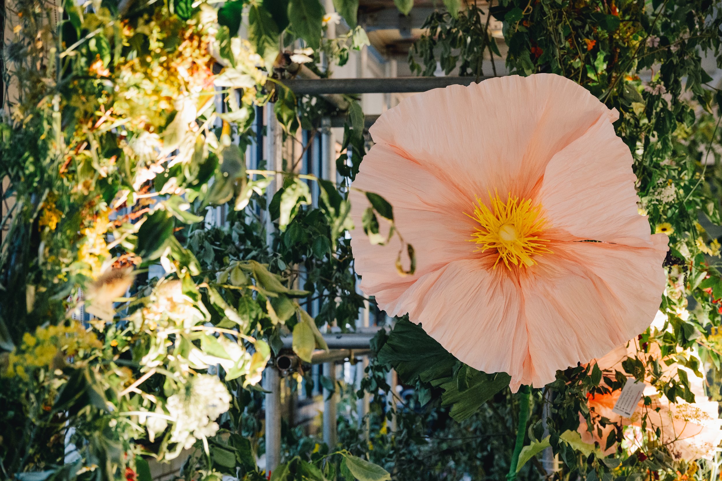 Large paper flower against floral backdrop