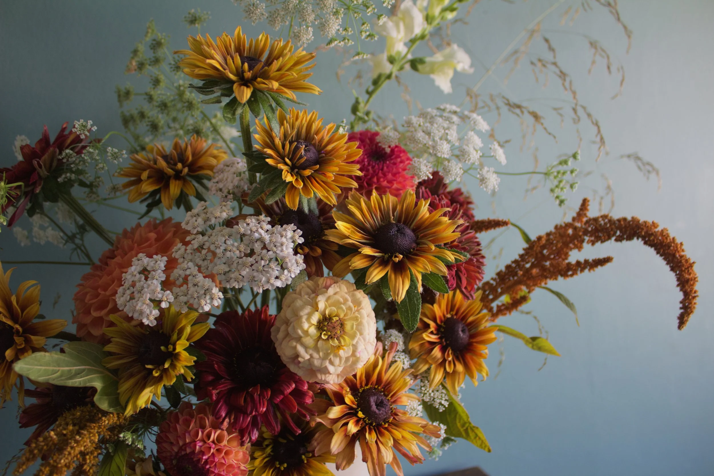 A colorful bouquet of various flowers, including yellow daisies, red dahlias, white baby's breath, and orange amaranthus, against a blue background.