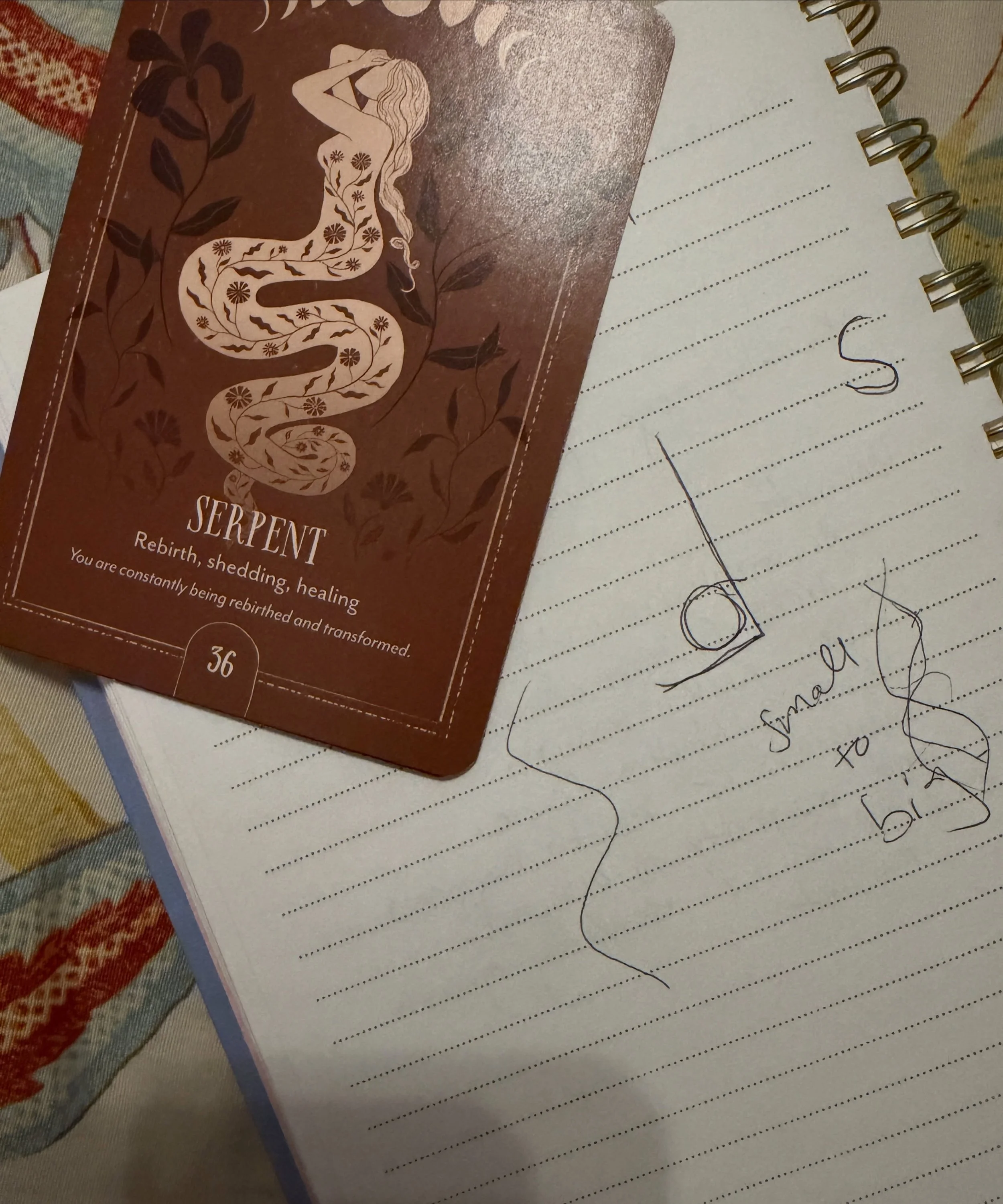 This is my visual from tonight drawn on paper prior to my Oracle card pull. In this activity I am not trying to pull a card to match my picture. I&rsquo;m working backwards, trying to see the card before I pull it. 
First I saw the backwards L shape 
