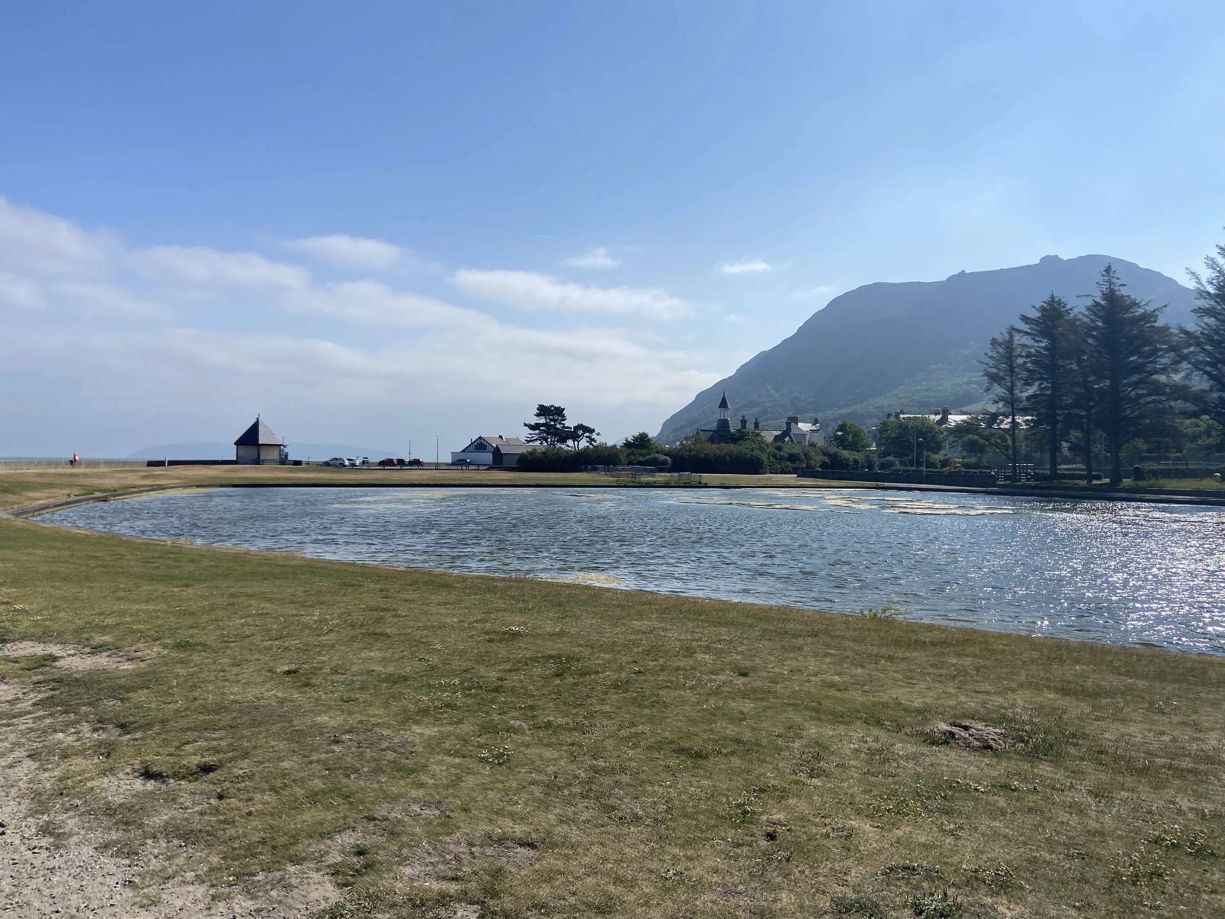 IMG_0213.jpeg