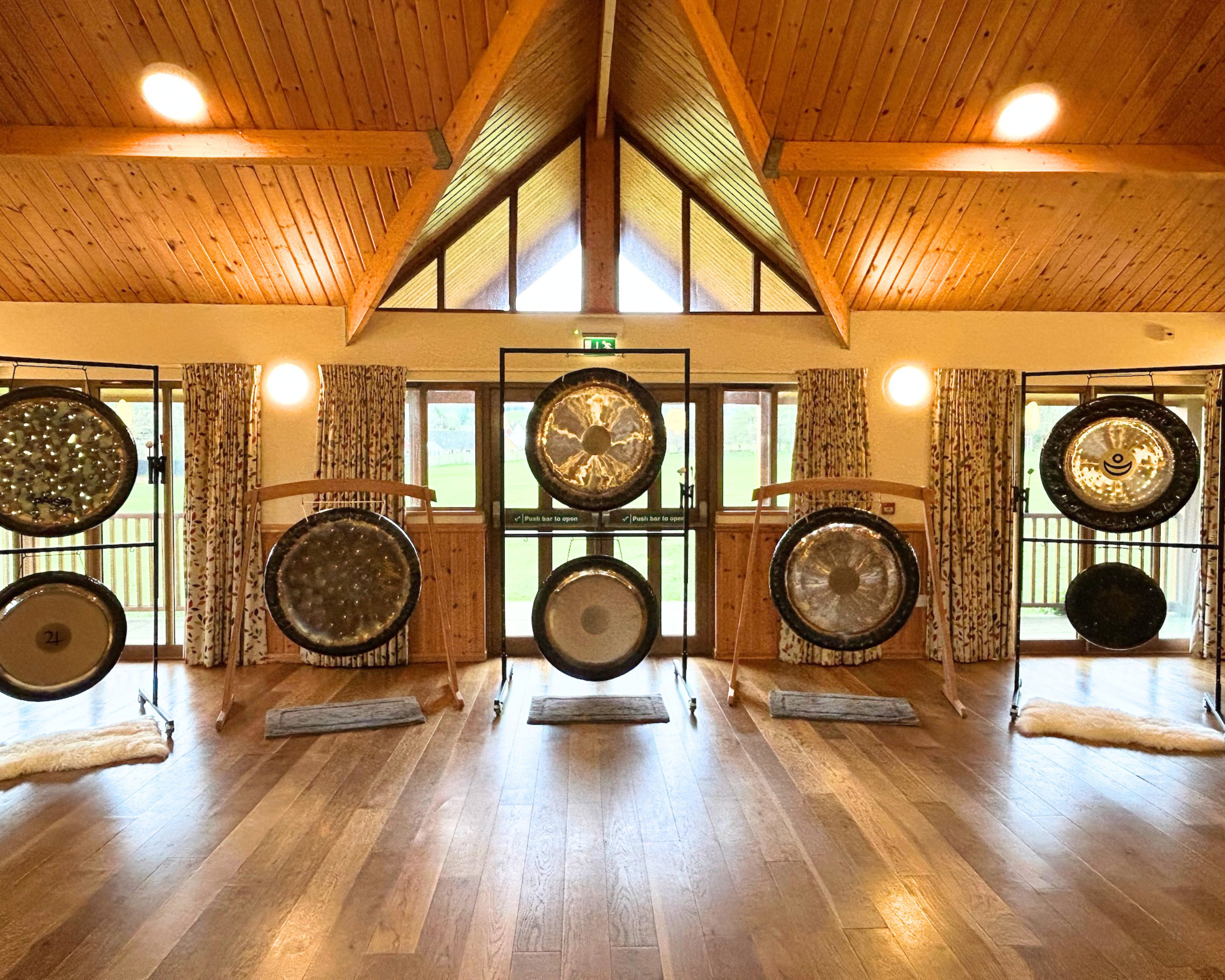 Professional Gong Practitioner Training at The Gong School, founded by Danielle North. Home for sound healing training, professional gong certification and wellness events.