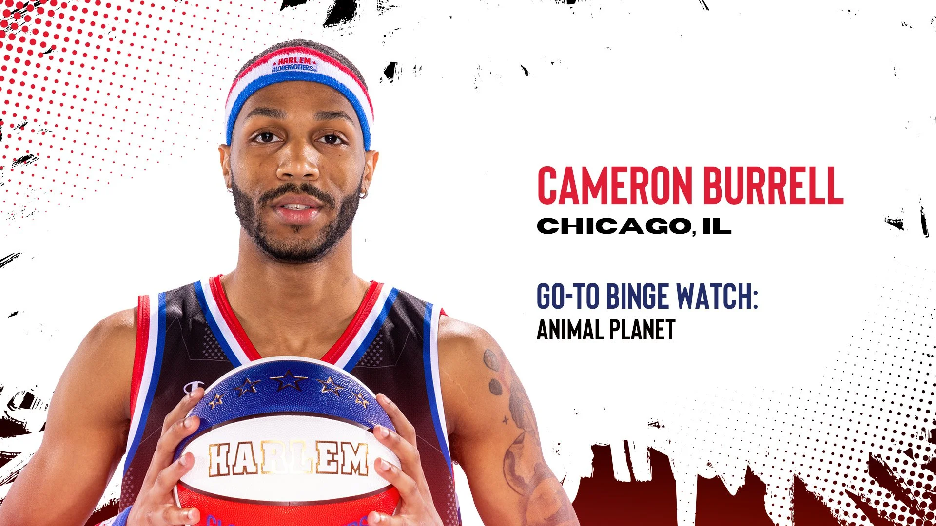 HG-BG-Titlecard-Setup-CAMERON.jpg