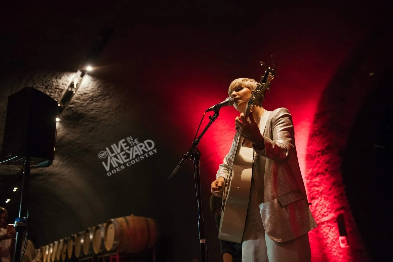 LIV-Gobo.jpg