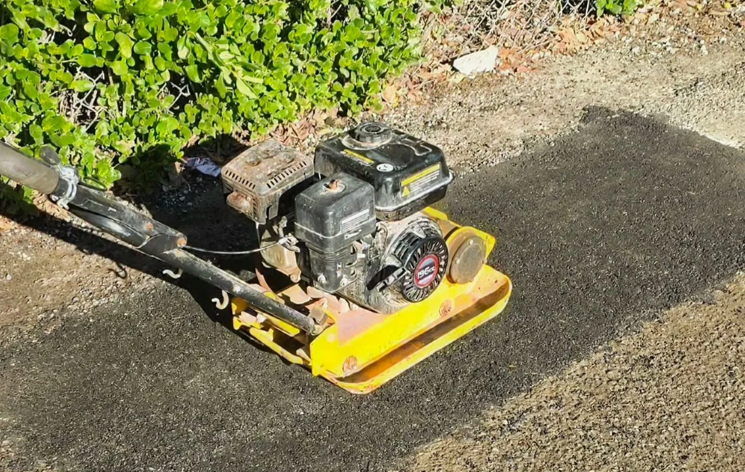 A walk-behind roller compactor used for soil and asphalt compaction on a patch of ground next to bushes.