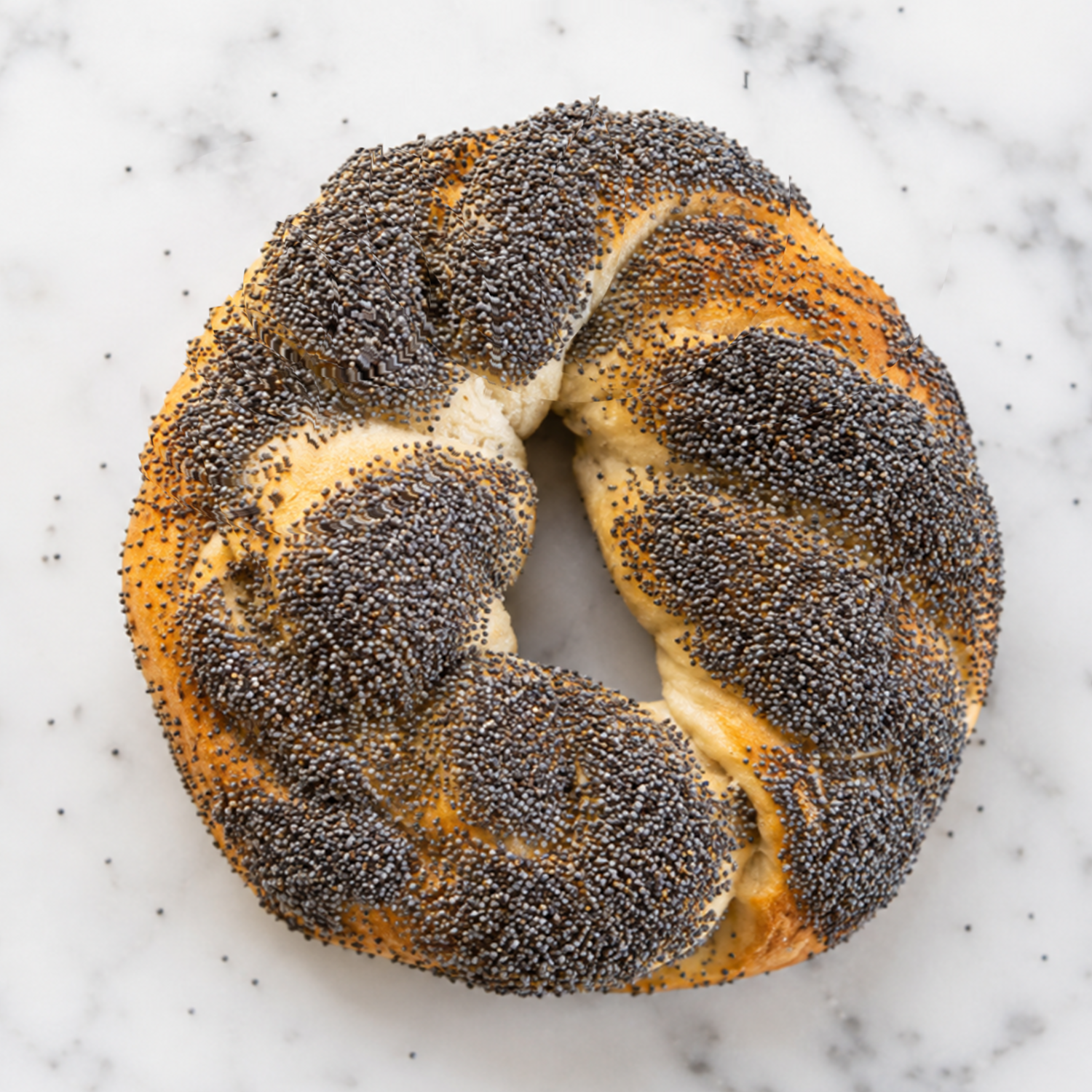 Good Seed Bagel (Poppy Seed)
