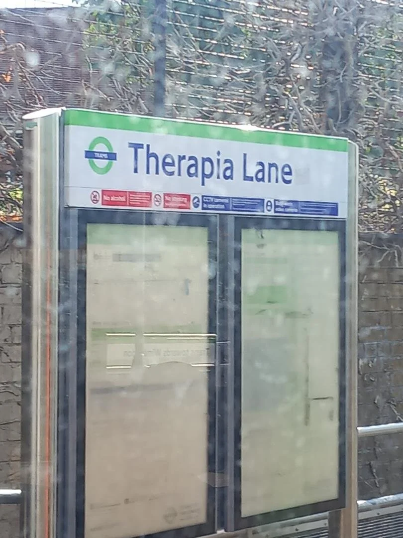 Bus shelter sign titled 'Therapia Lane' with status and route information, partially obscured by reflections.