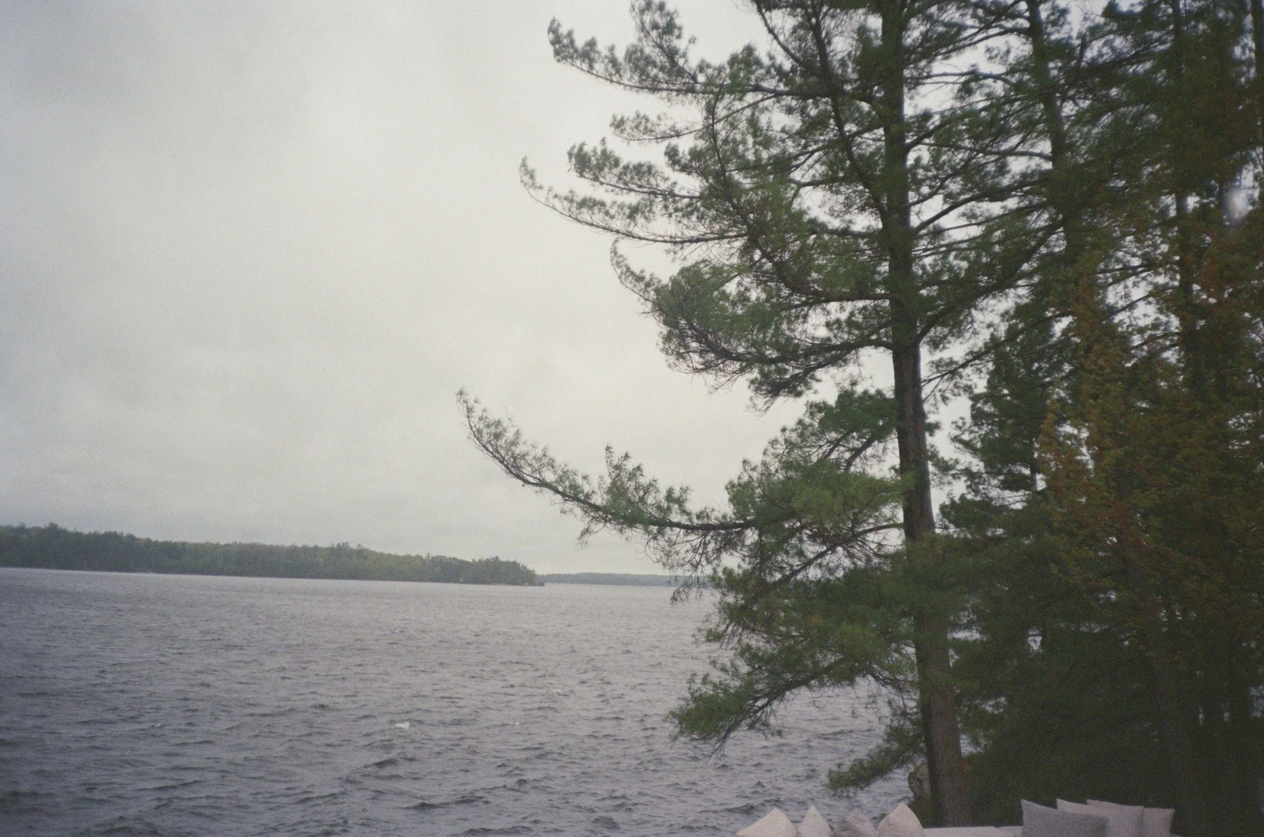 78020-1-0005.jpg