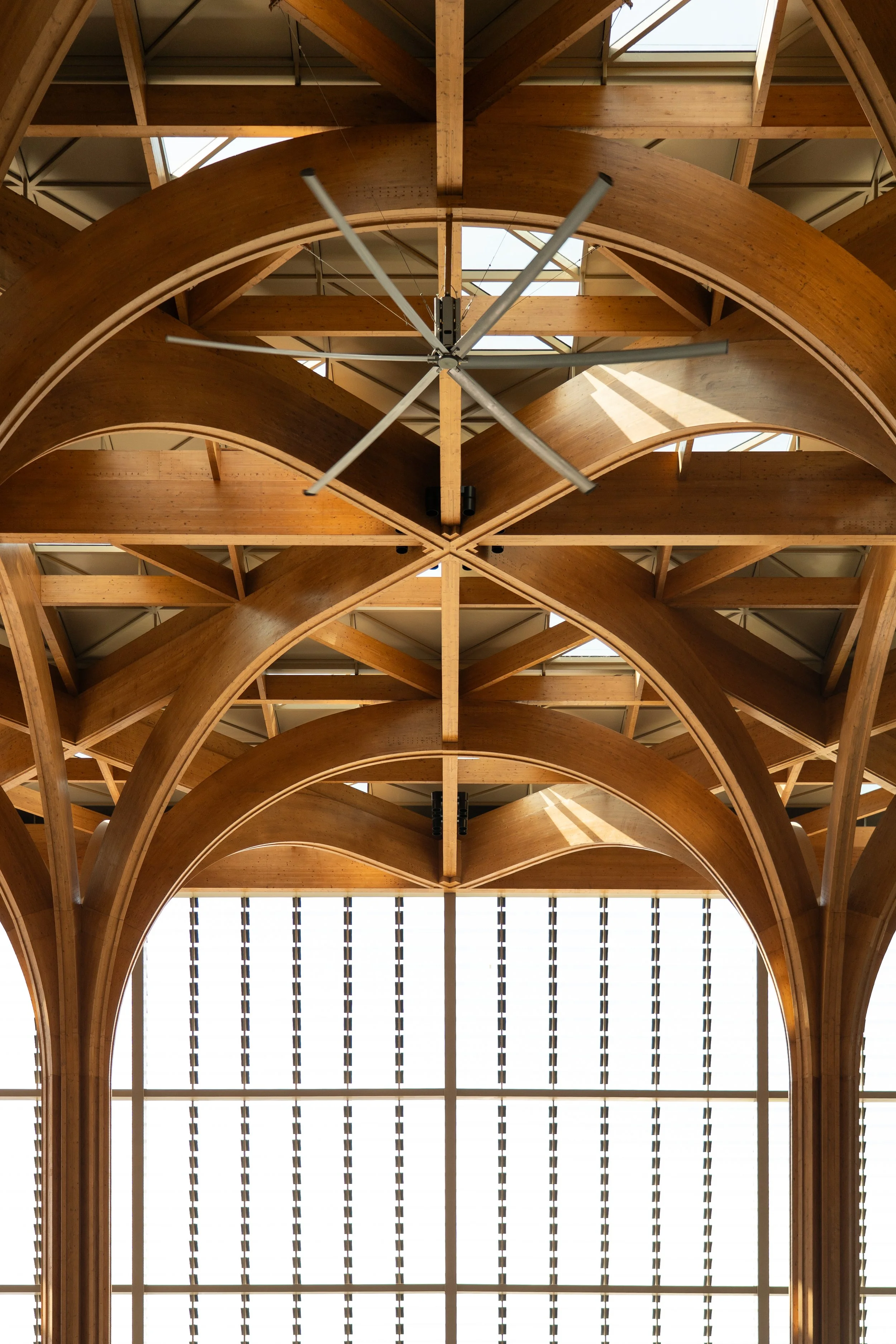 DSC07566-1.jpg