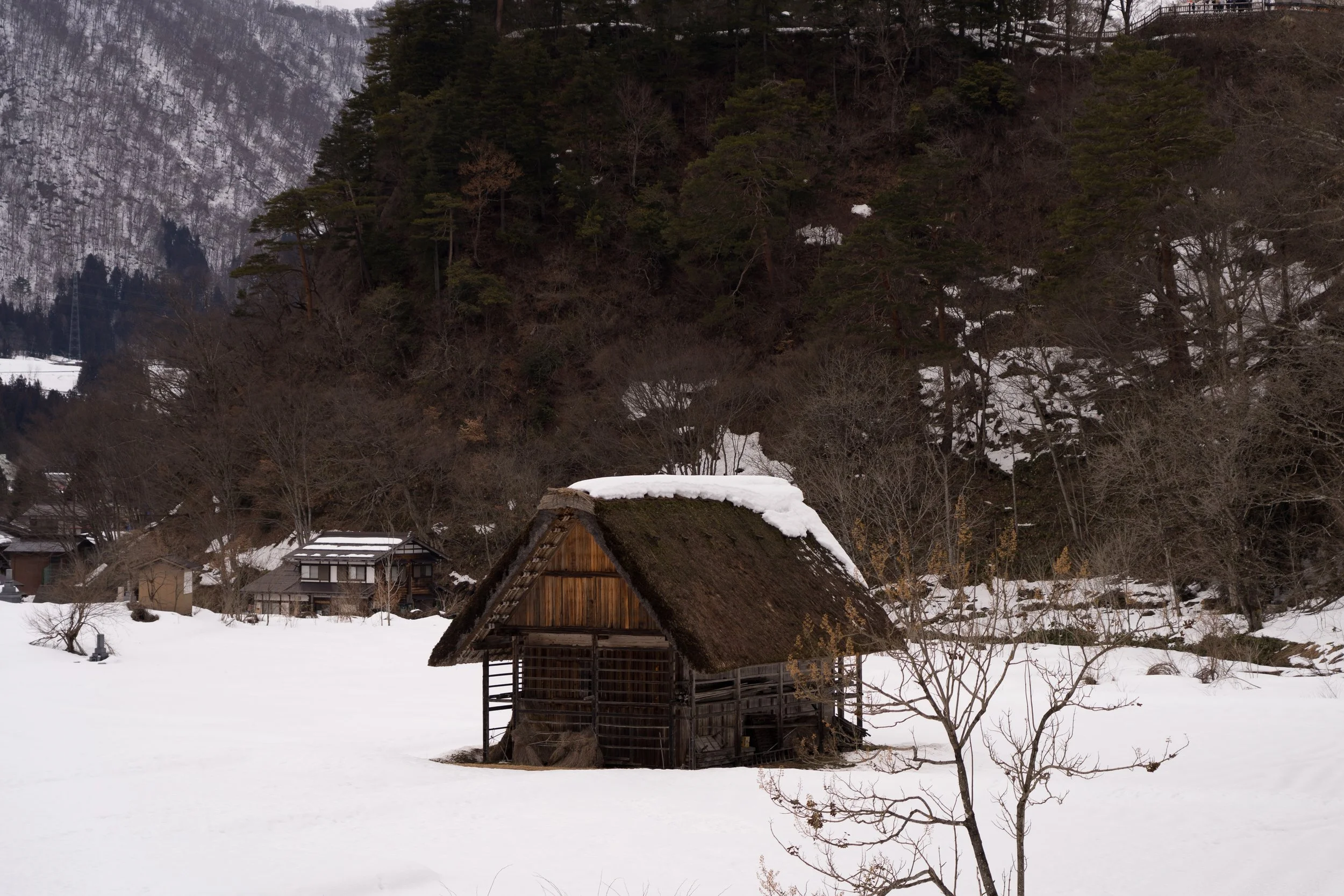 DSC01390.jpg