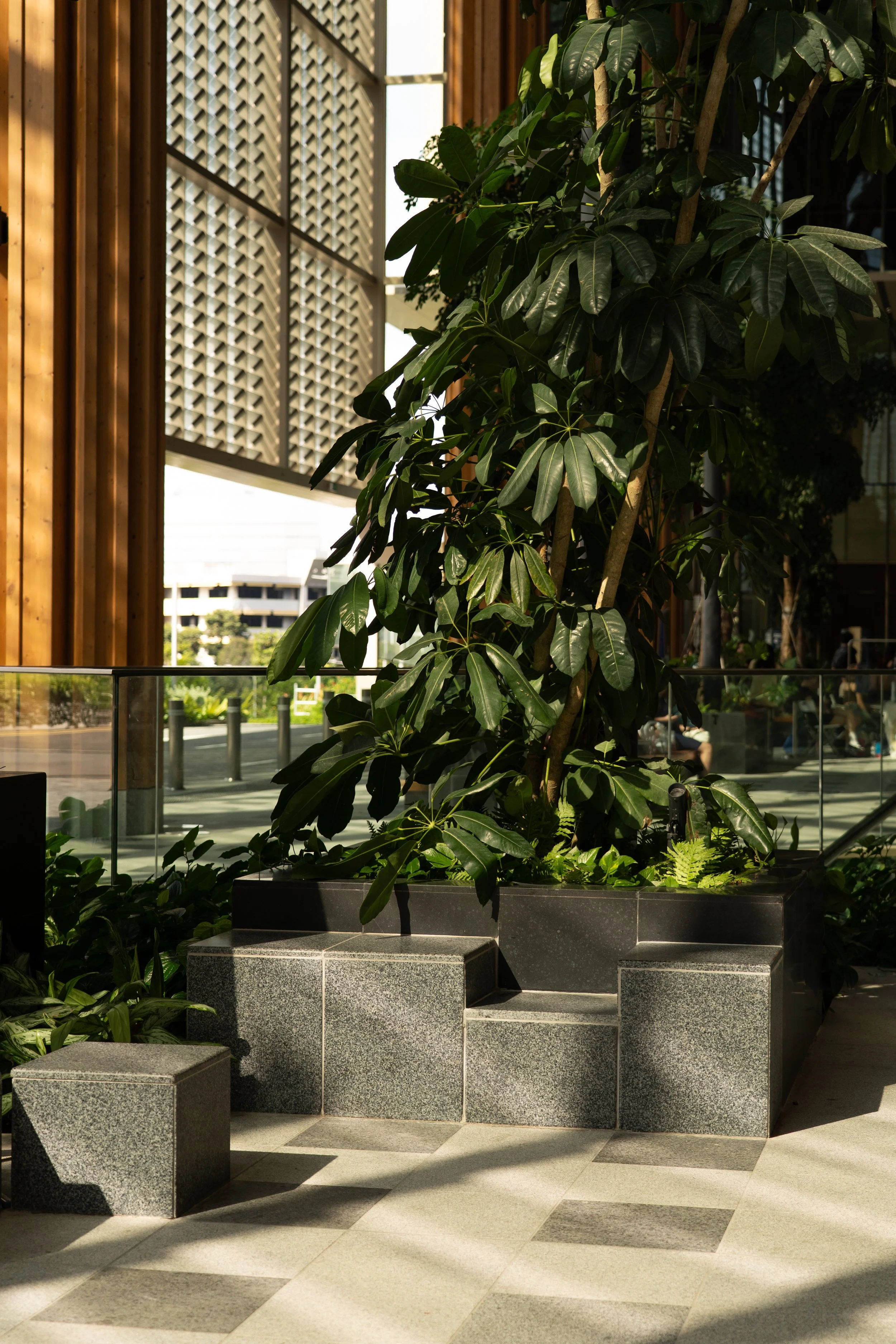 DSC07618-1.jpg