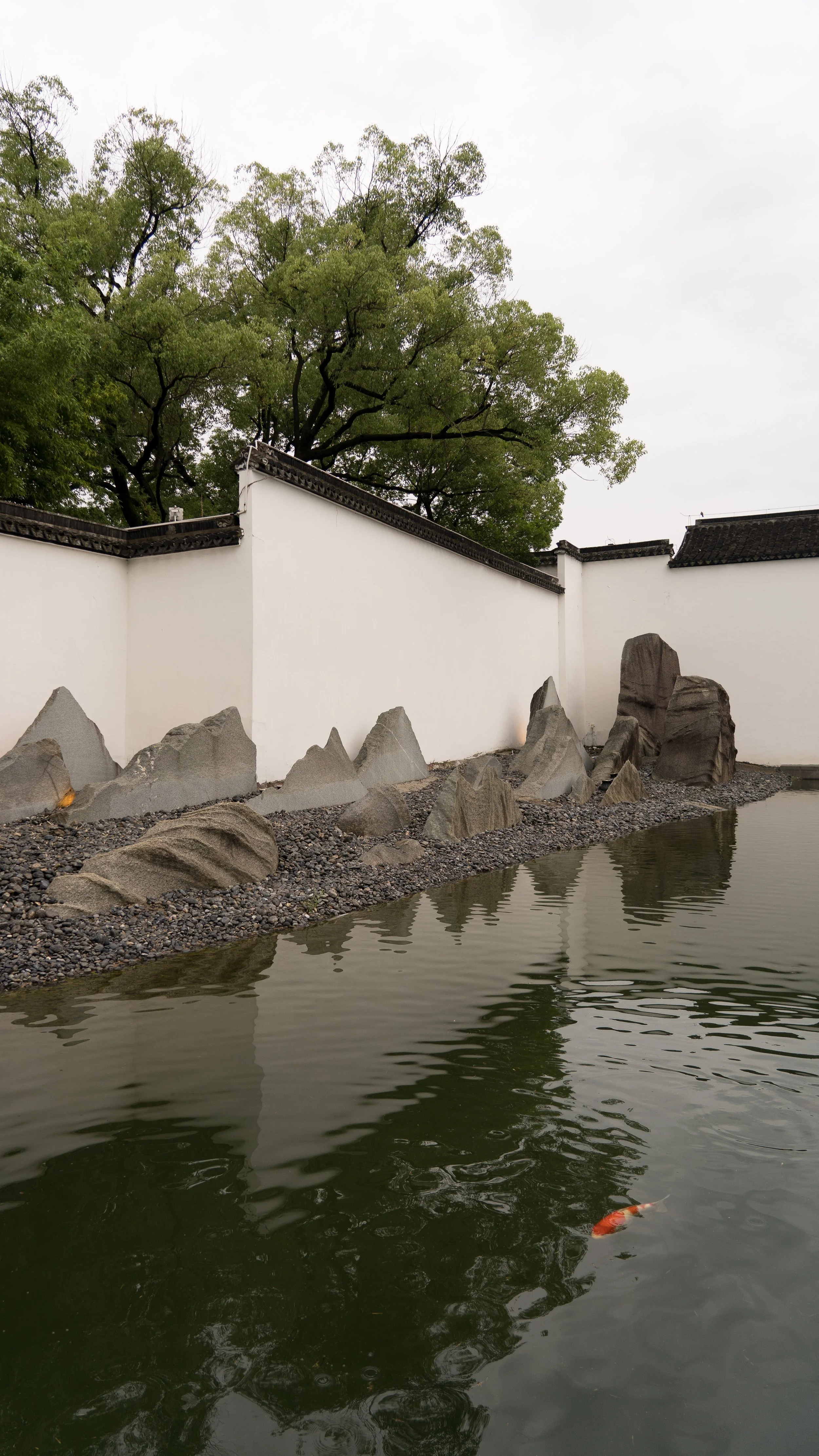 DSC03999.jpg