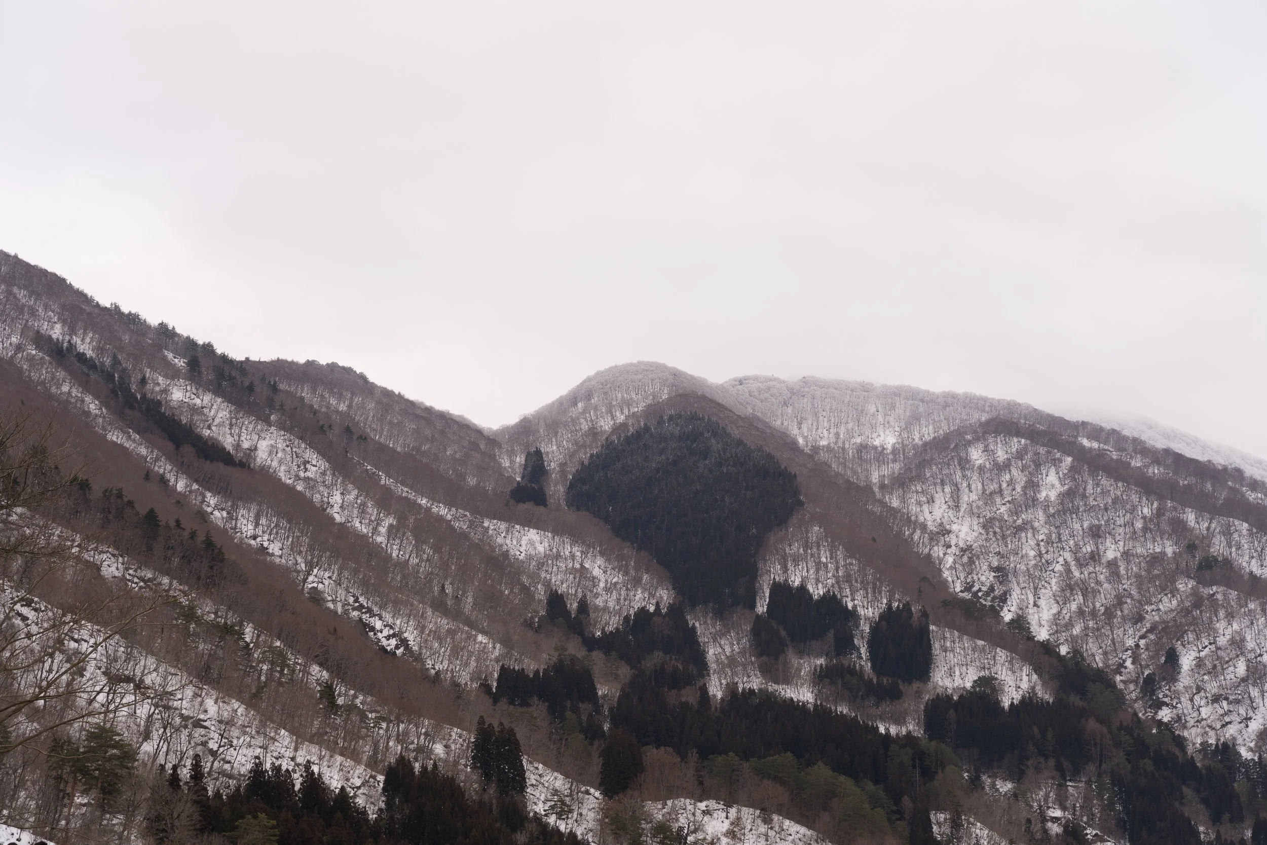 DSC01379.jpg