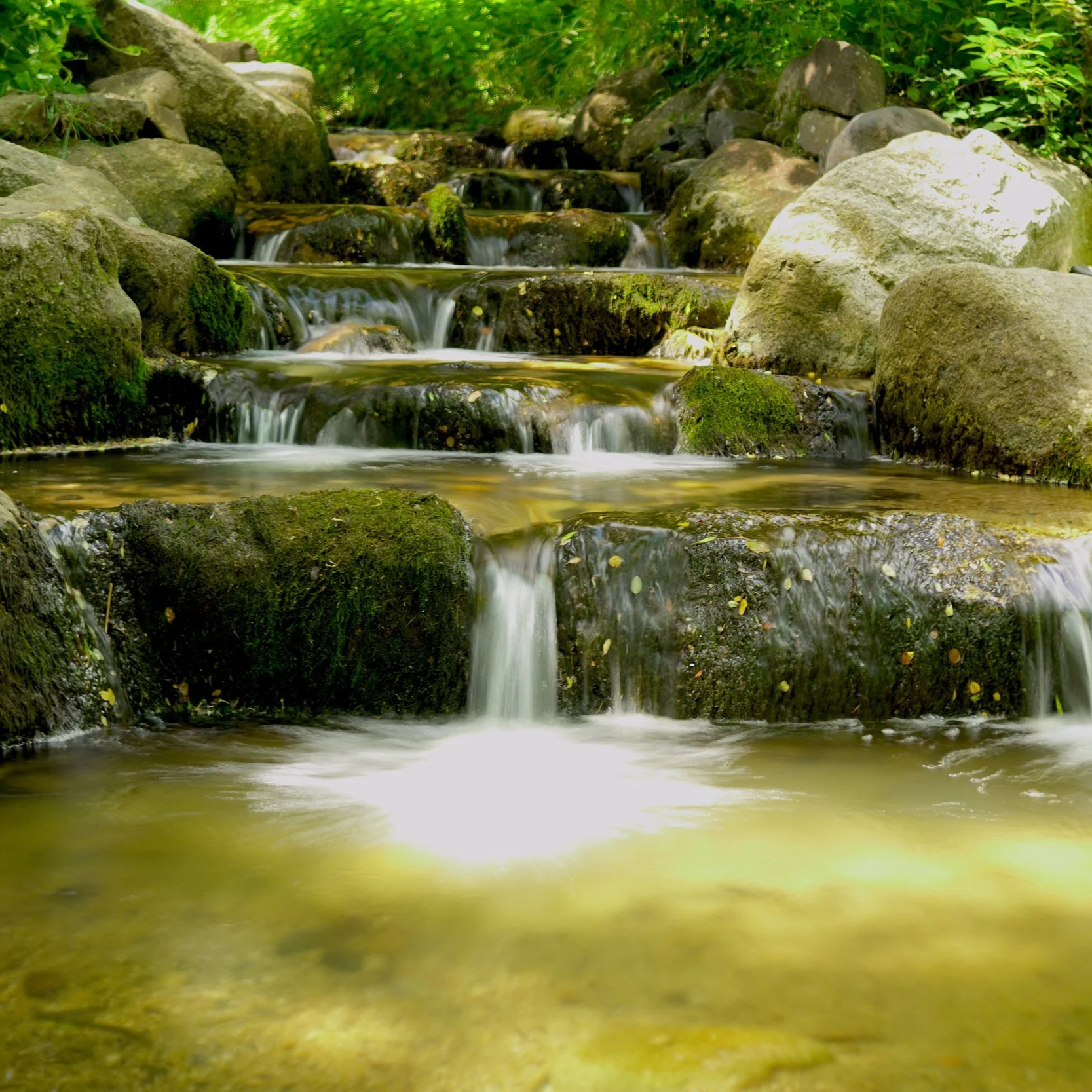Un ruisseau bordé de rochers et entouré de végétation verte, avec de petites cascades et de l'eau claire qui coule doucement.