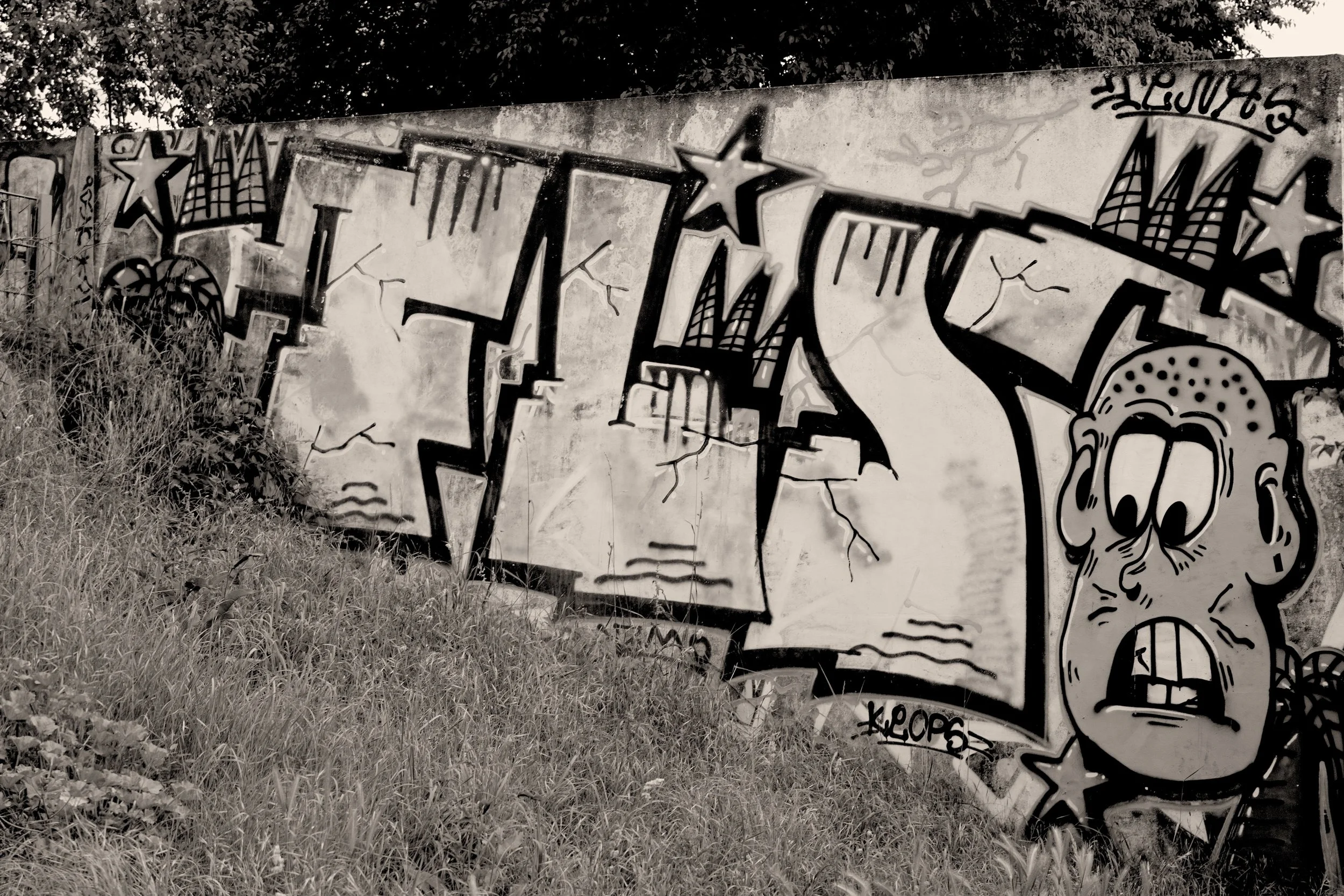 Graffiti noir et blanc sur un mur en béton, représentant un crâne et des éléments urbains, dans un environnement extérieur avec de l'herbe en premier plan.