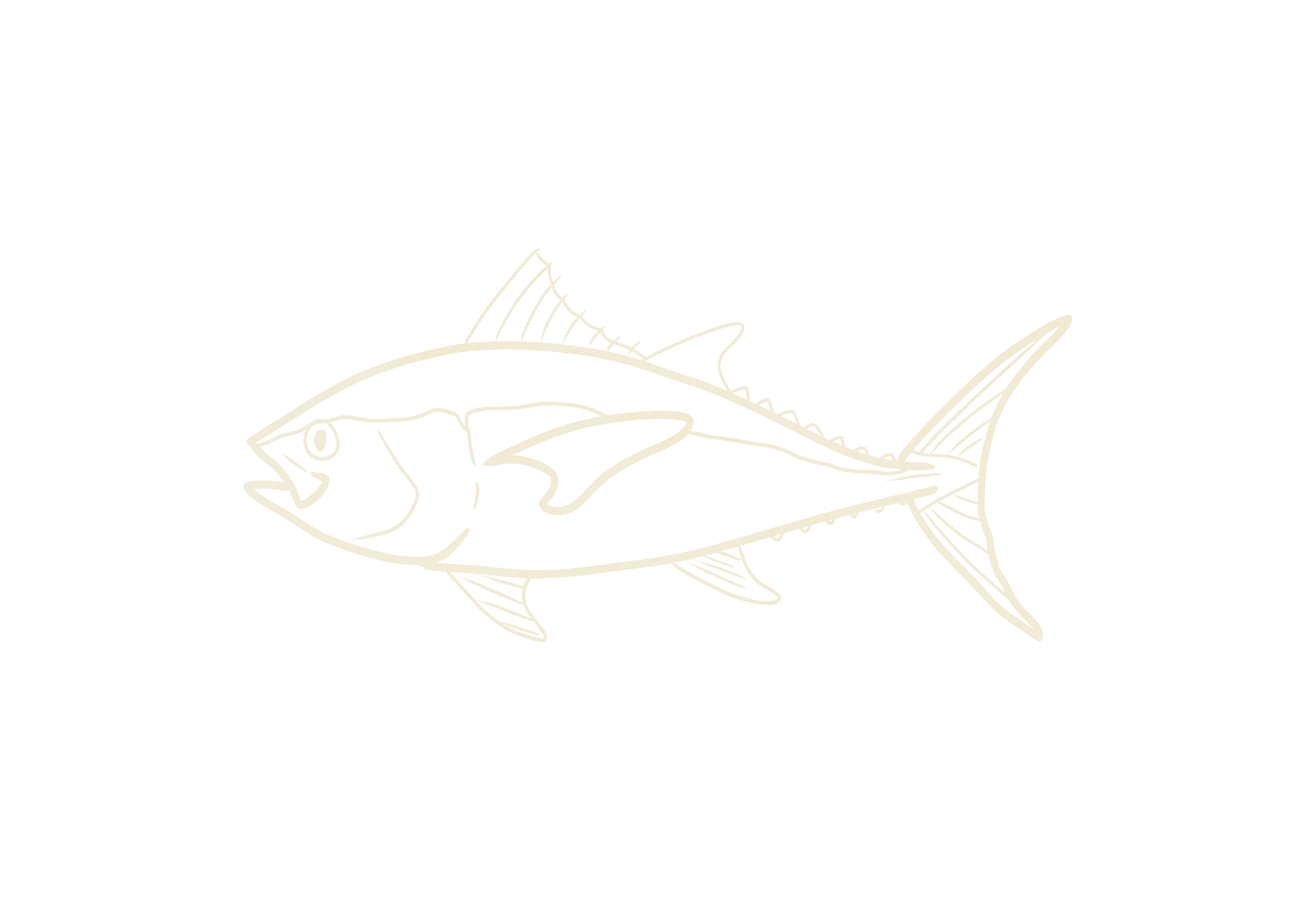 Line drawing of a fish on a black background.
