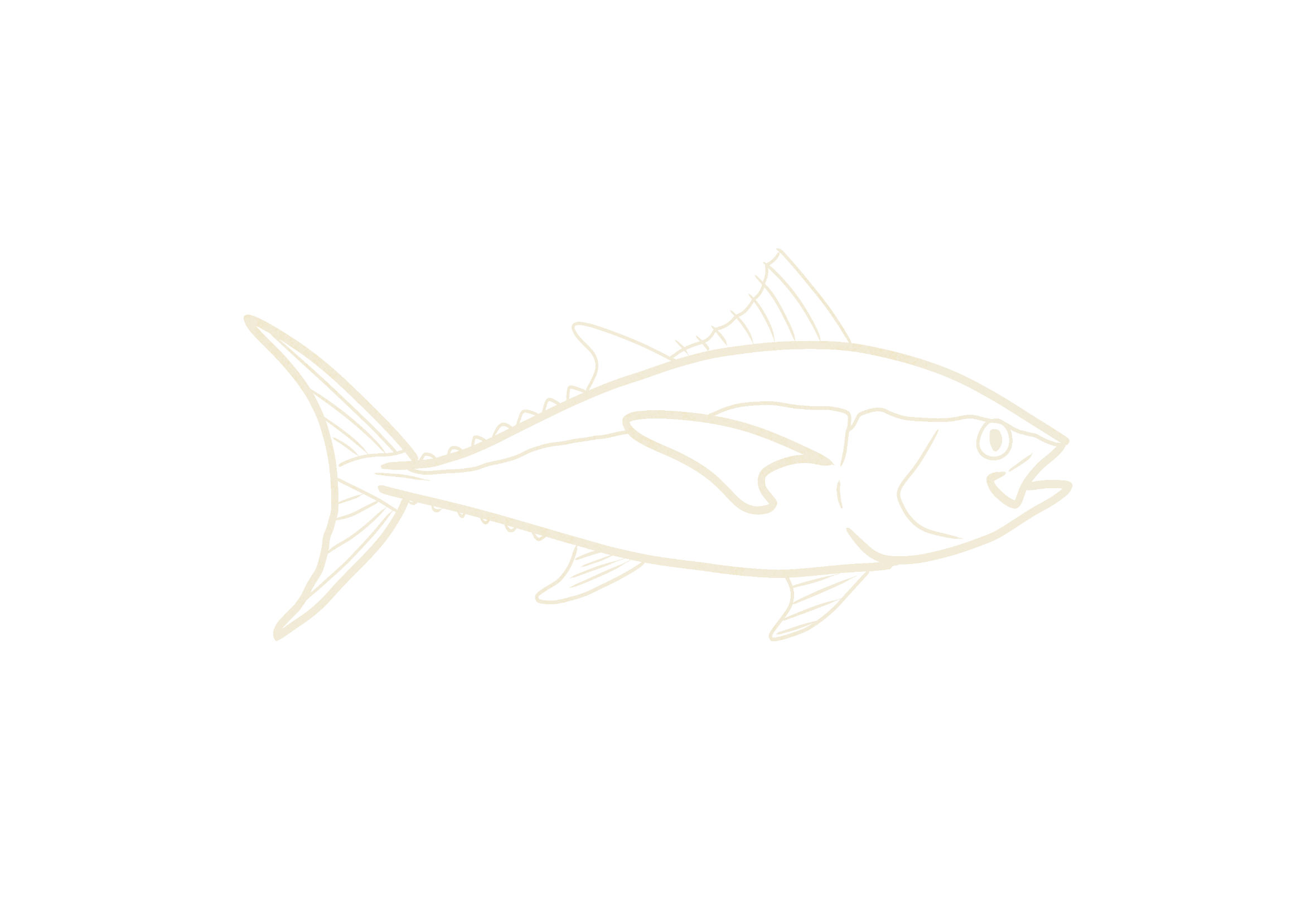 Line drawing of a fish on a black background.