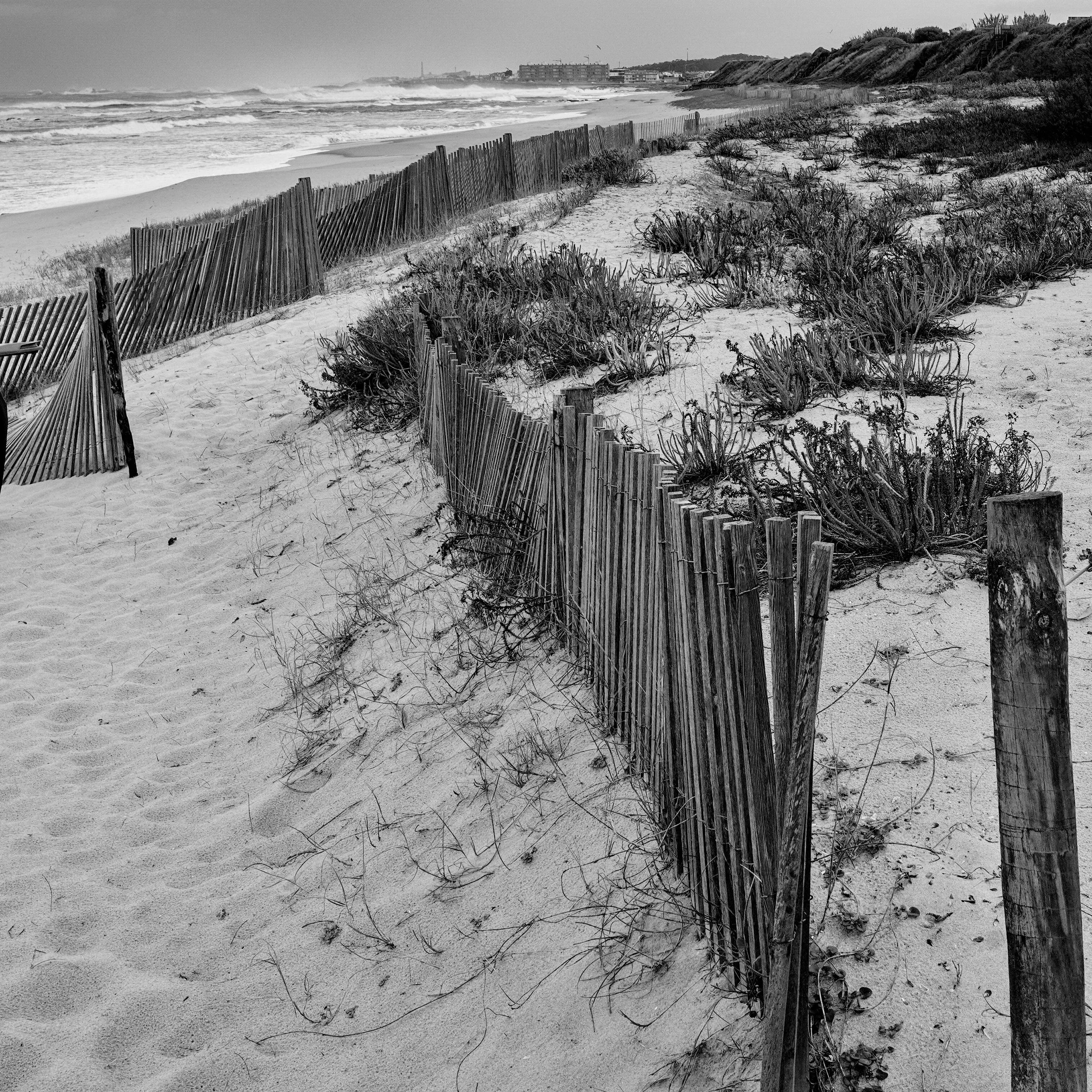 Beyond the Fence DSC01610-bw web.jpg