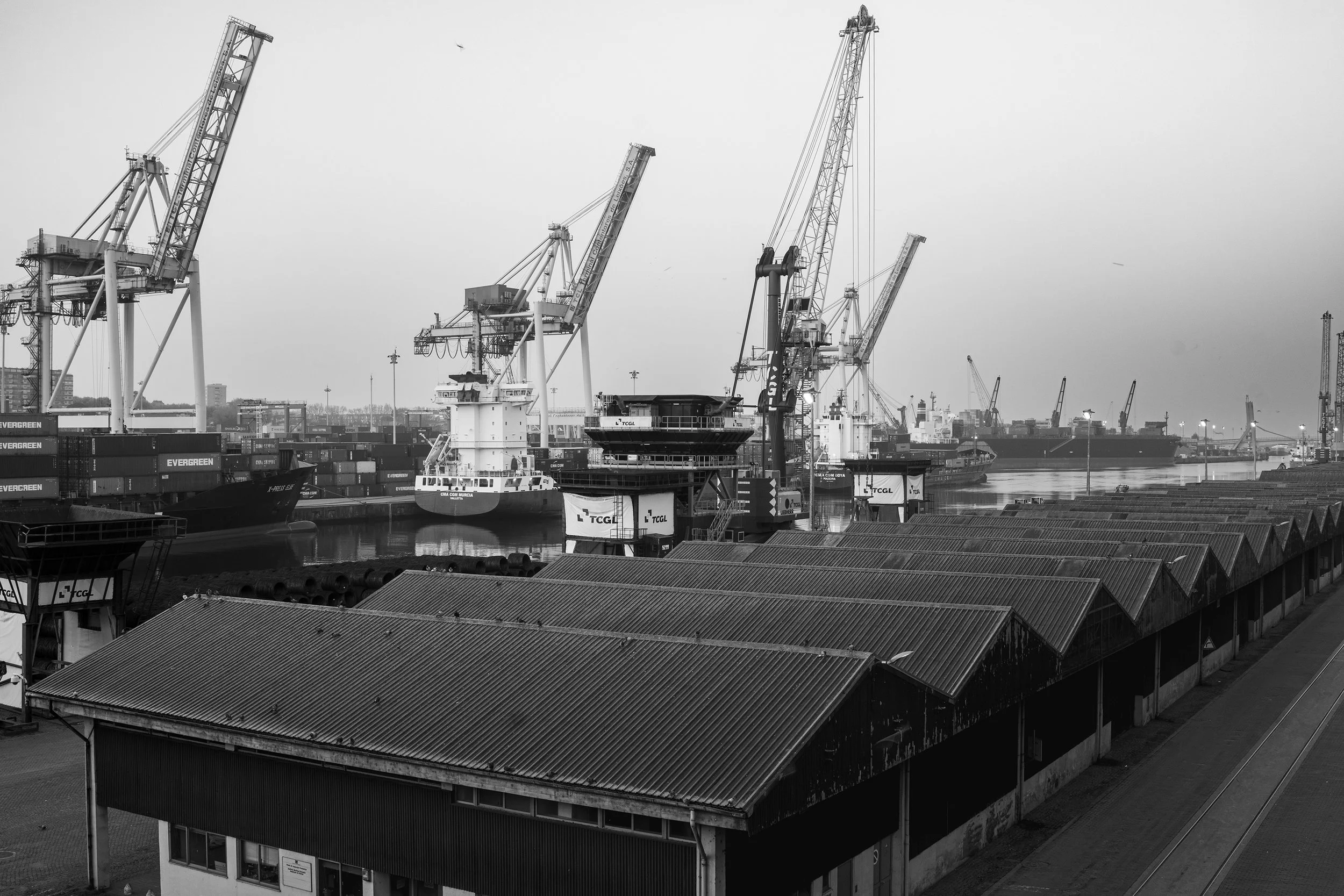 Port of Leixões I DSC07092-bw web.jpg