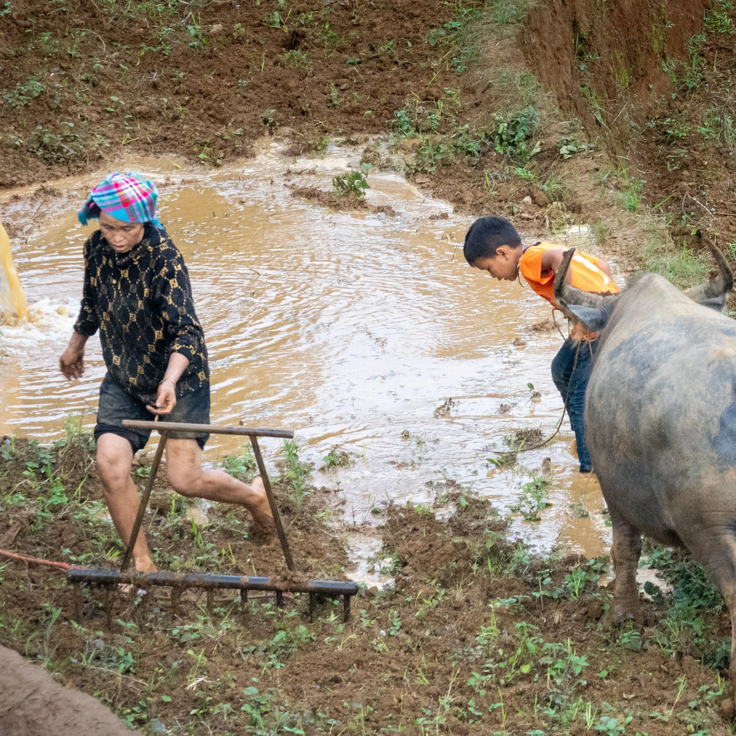 DSC04159 web.jpg