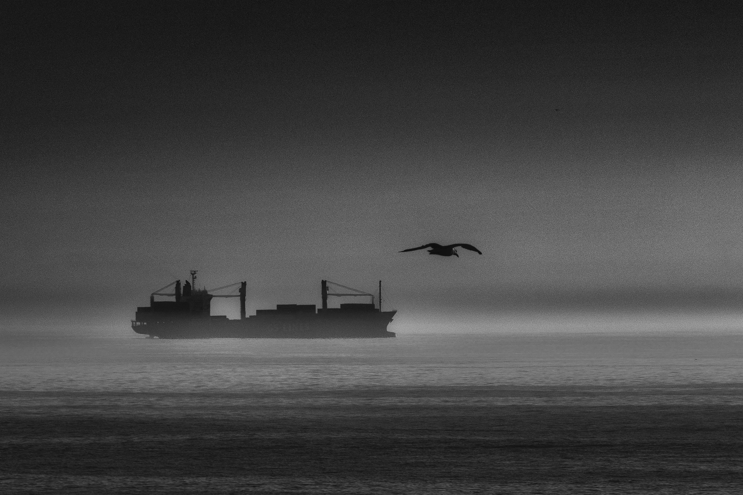 crossing paths DSC03161-web.jpg