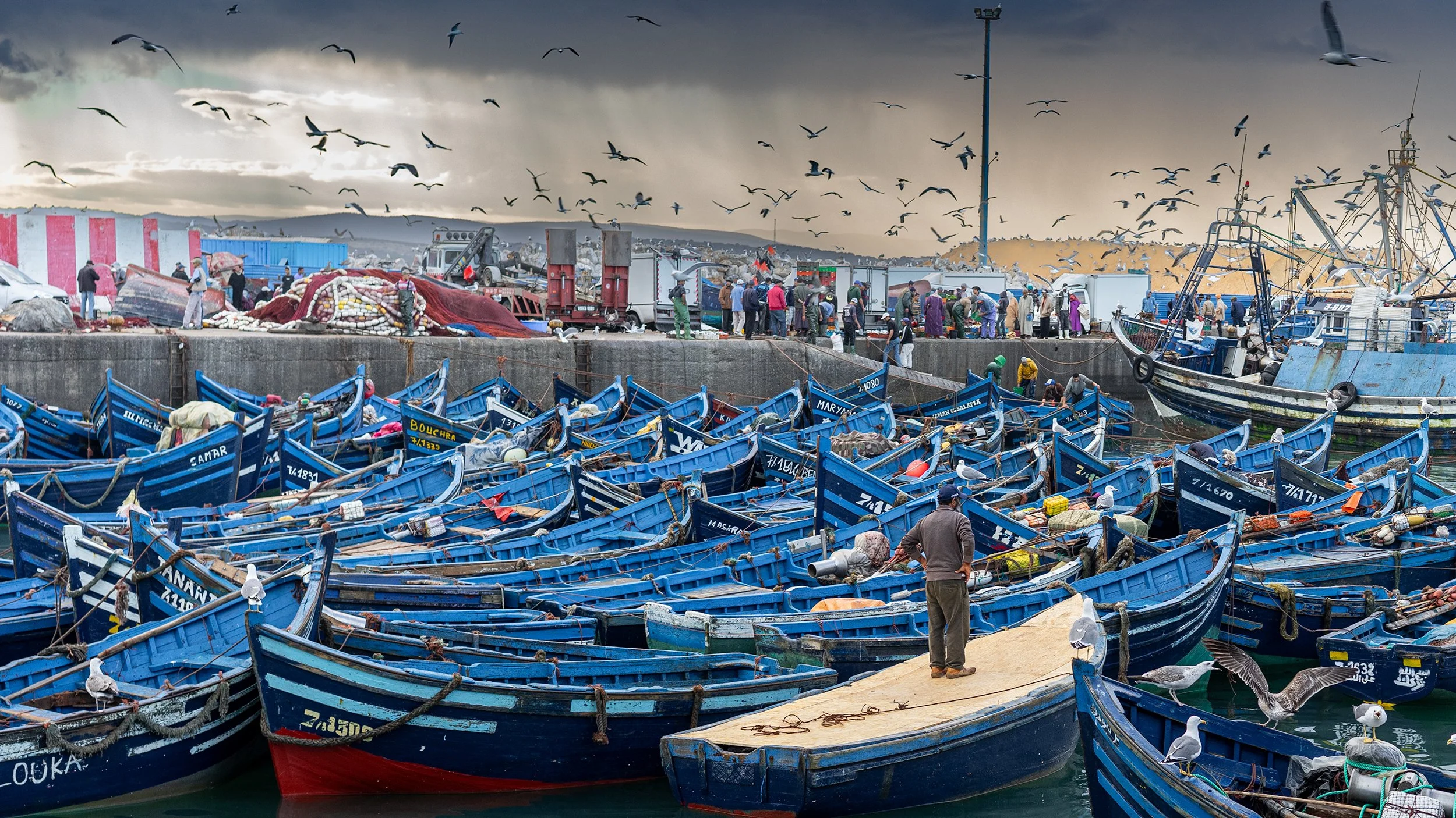 Blue Fleet DSC03171.jpg