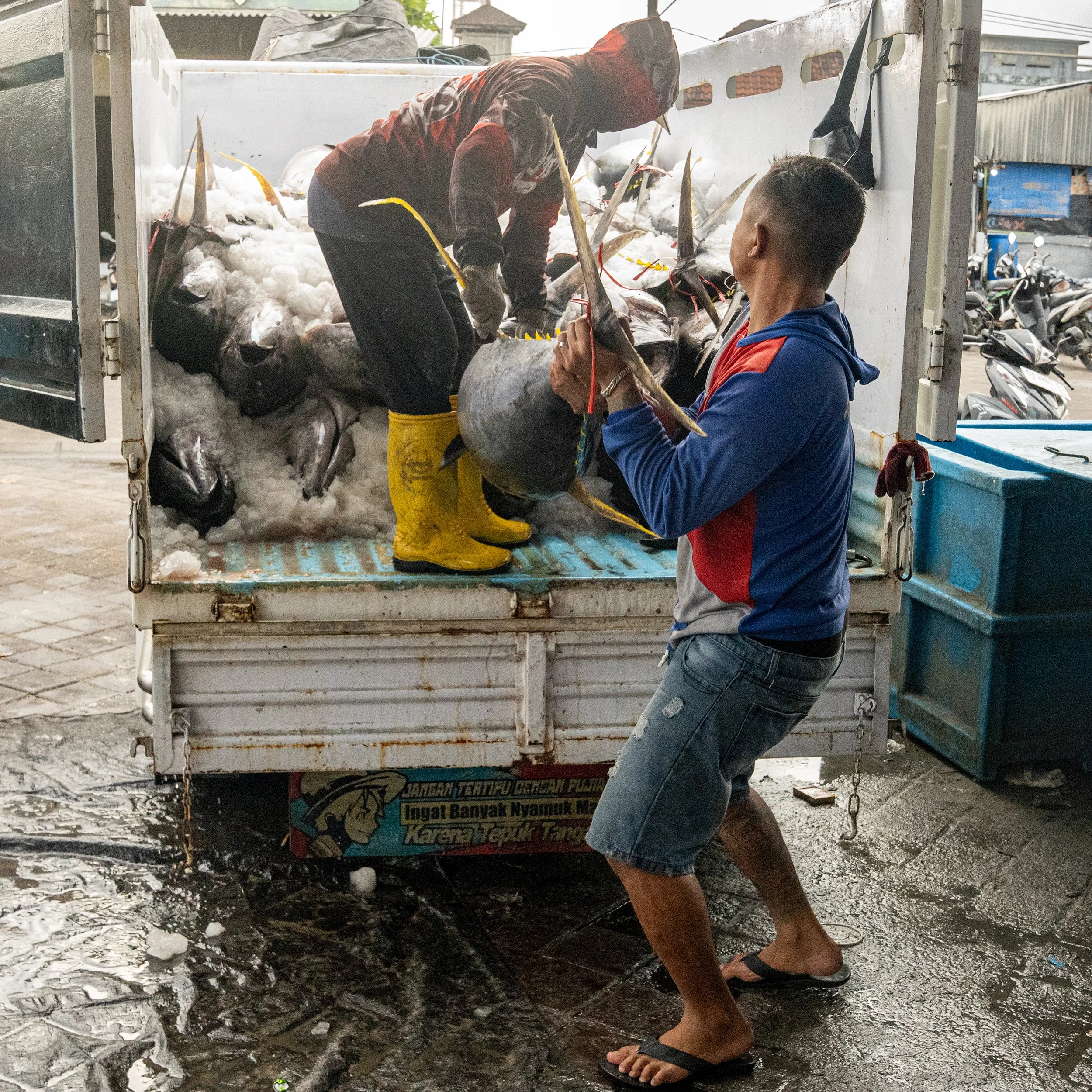 Fish Load  DSC09598 web.jpg