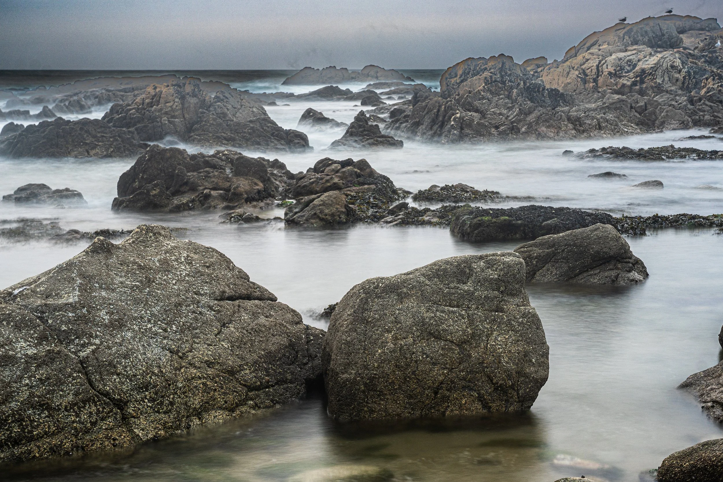 Atlantic Wispers DSC08727-web.jpg