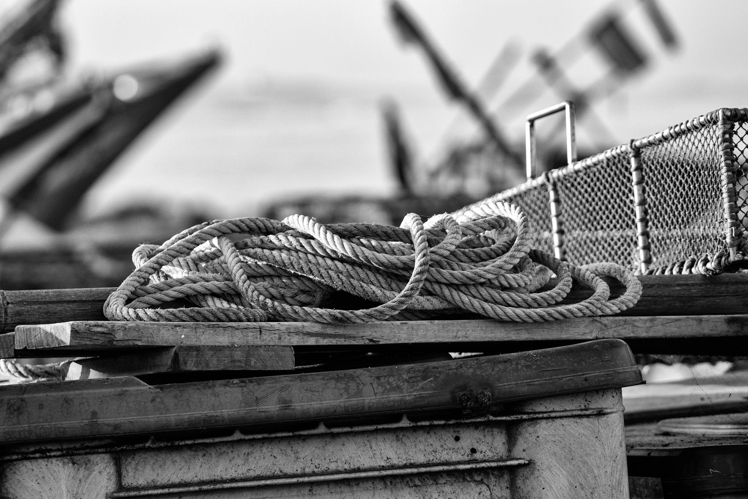 rope DSC00610-bw.jpg