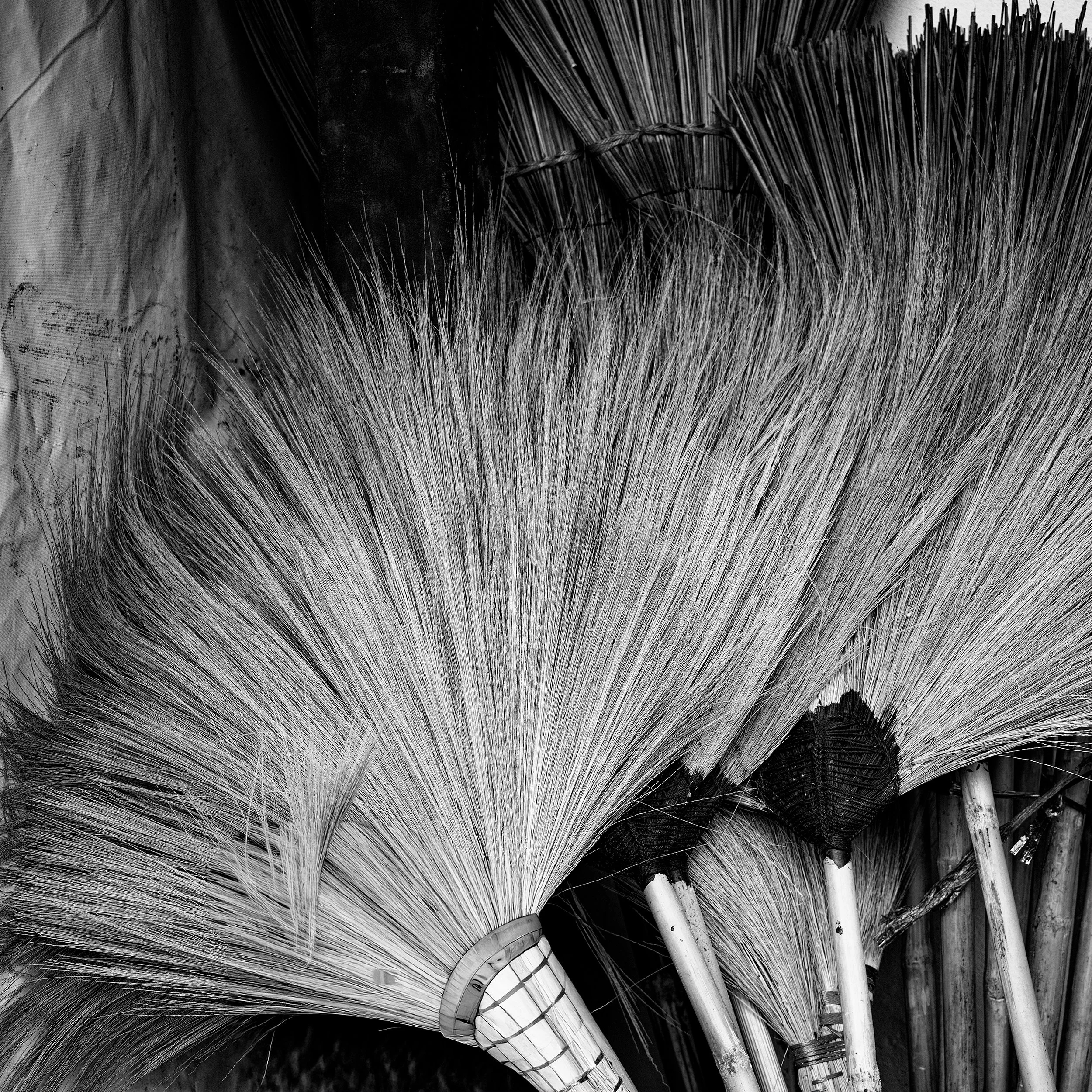 broom B0006267web bw.jpg