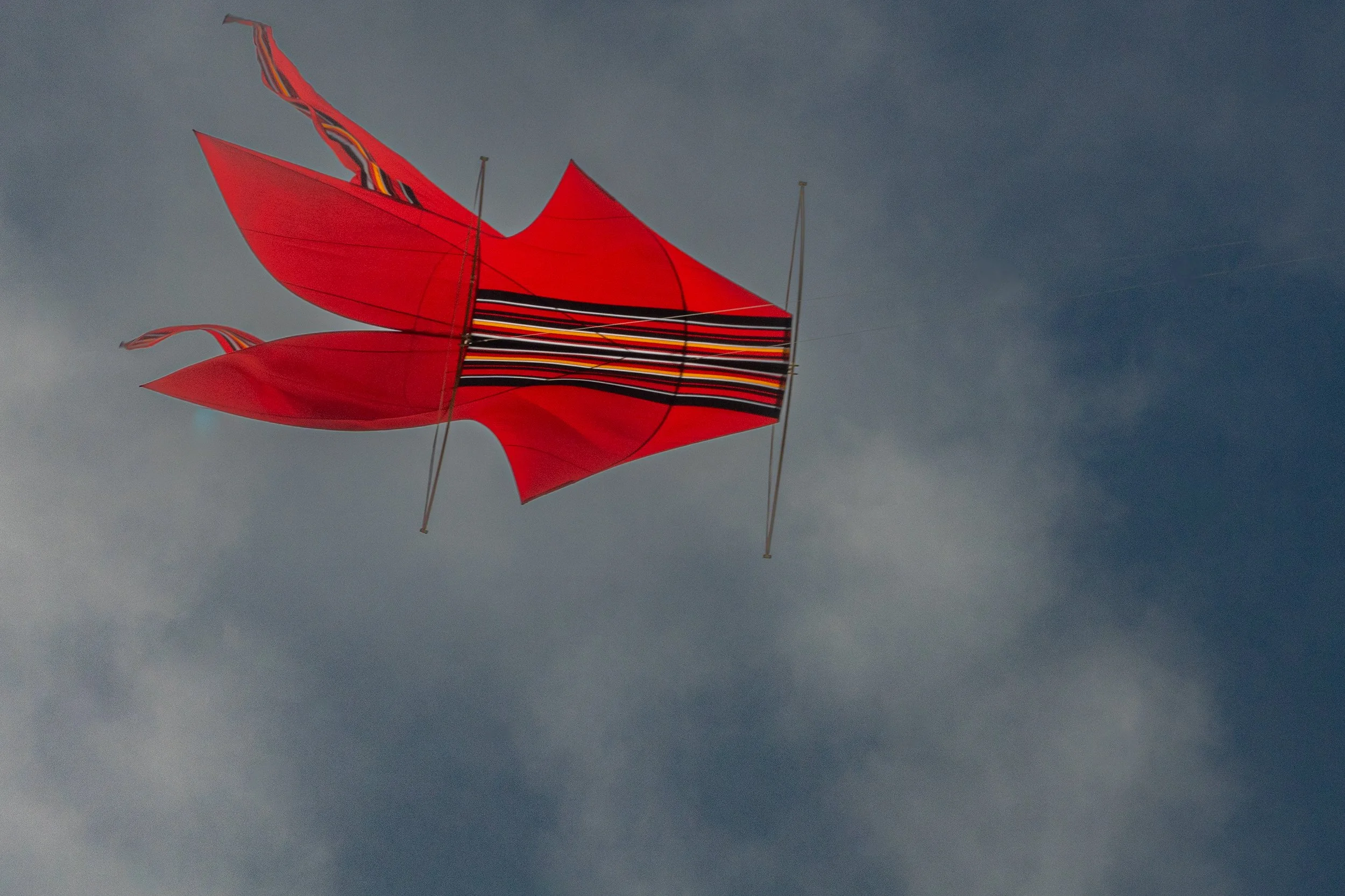 kite DSC09960 web.jpg