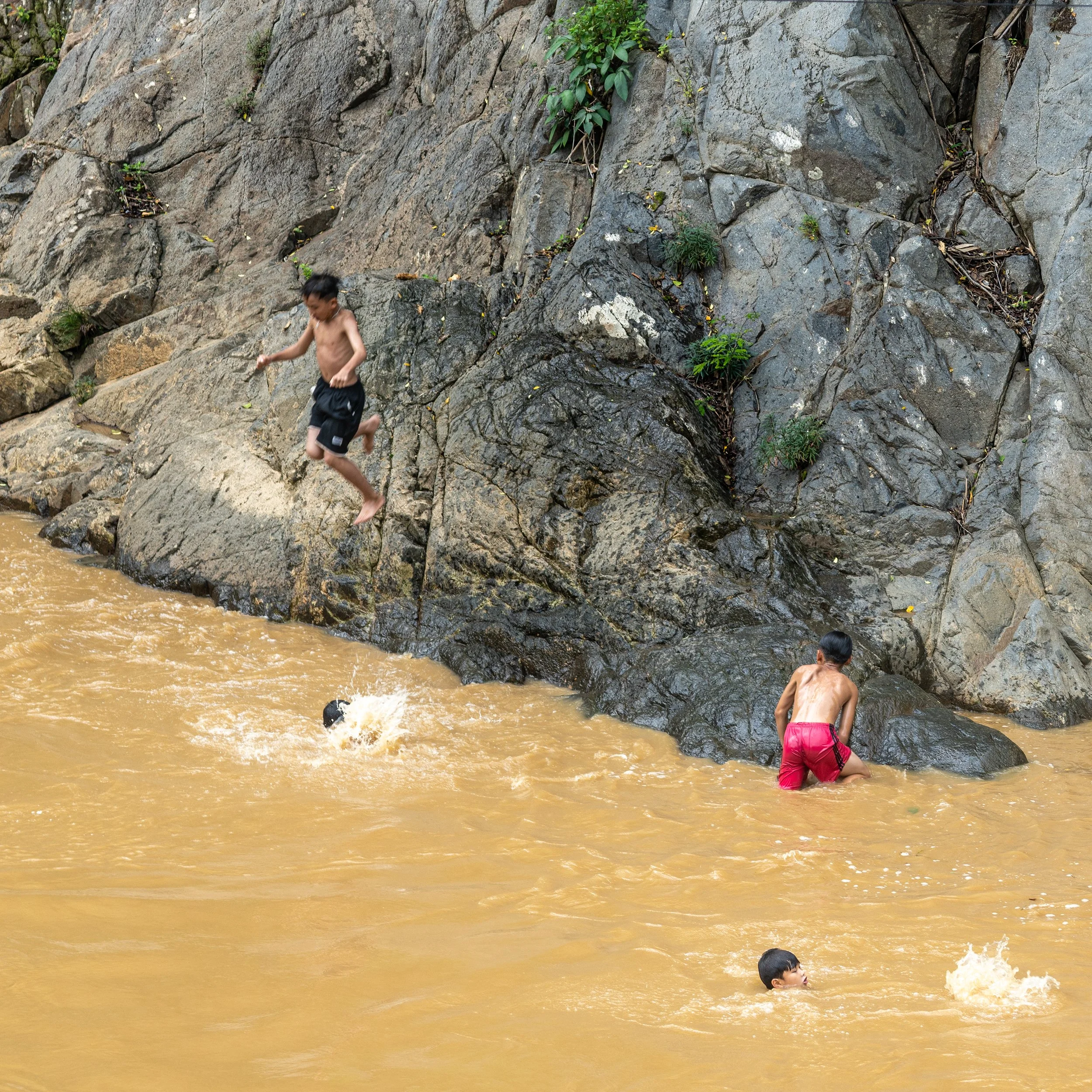 swining boys DSC04131 web.jpg