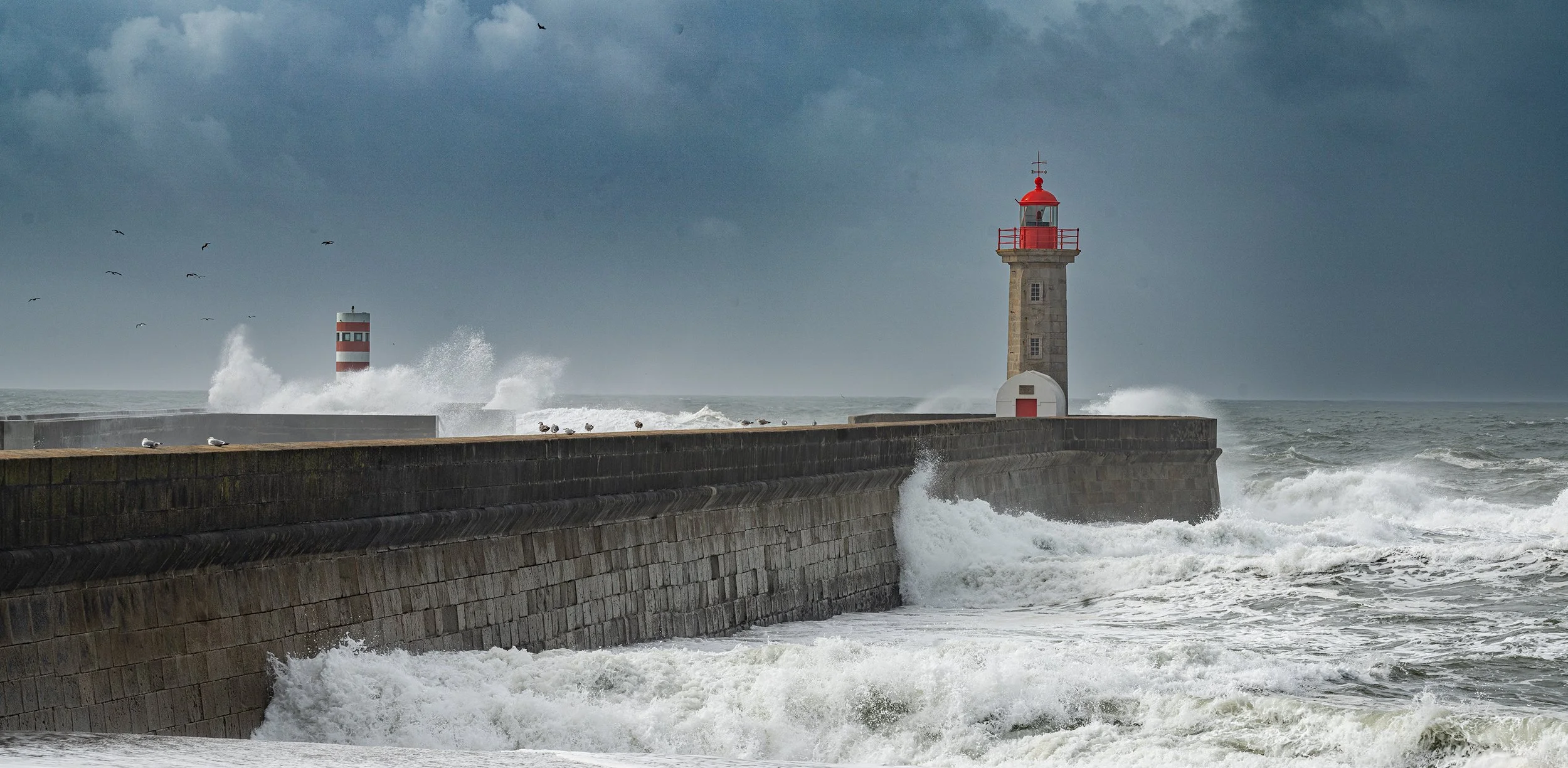 Atlantic Guardian.jpg