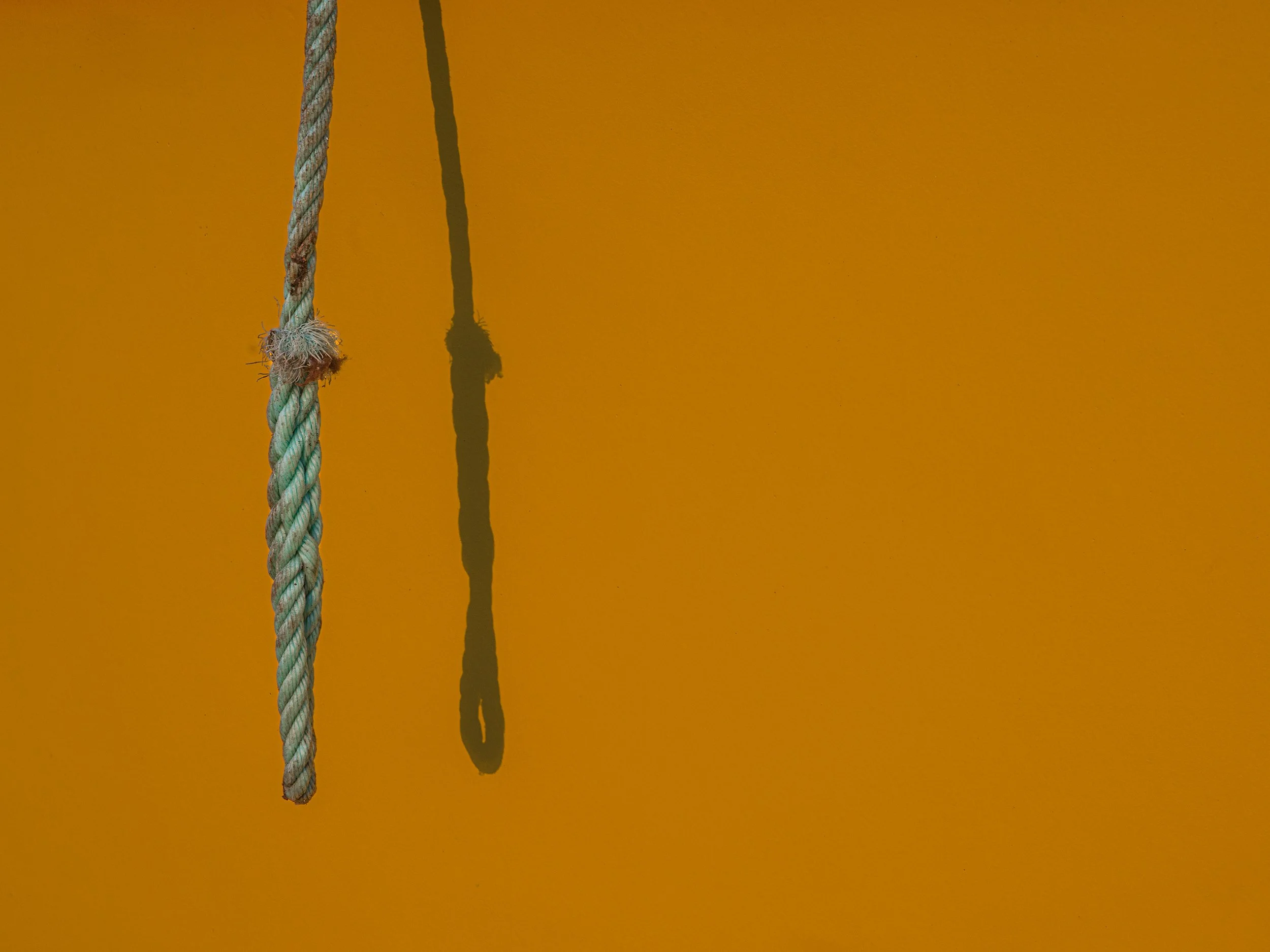Line and Shadow  B0007240 web.jpg