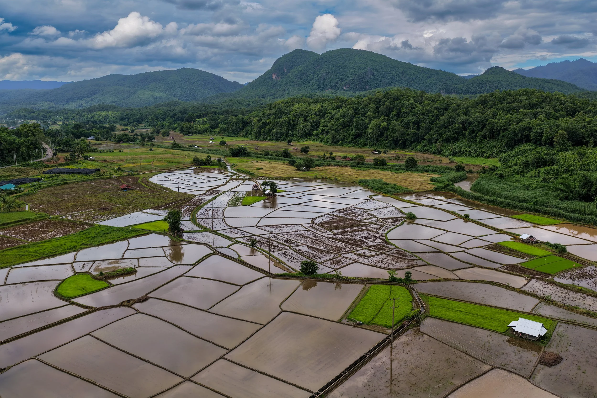 DJI_20260622094905_0387_D.jpg