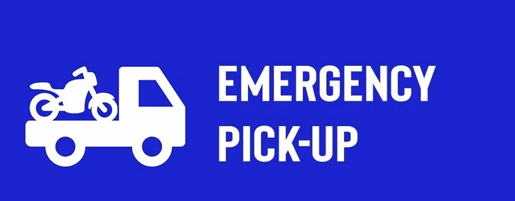 Emergency Verified Child Pick Up Order - with Brief to Show Cause