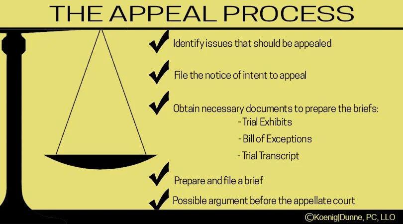District Court of Appeal Complete Package