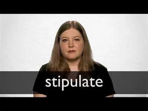 Main Stipulation After Pre Trial Conference Civil Case