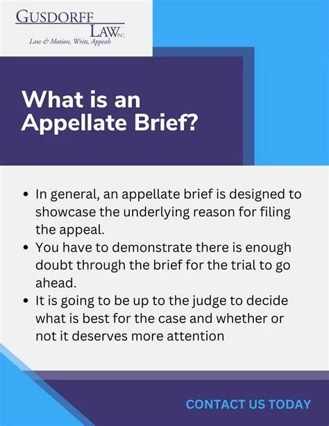 Amended Brief Court of Appeal