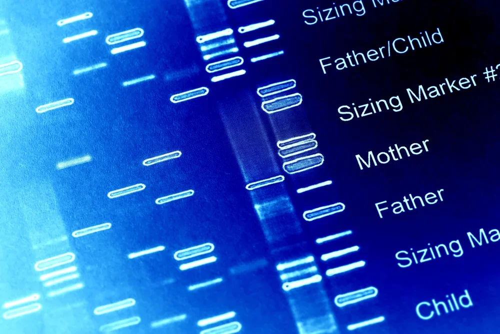 Answer to Determine Paternity