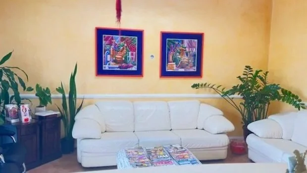 Living room with white sofa, two colorful framed pictures on yellow wall, and green plants on side tables.