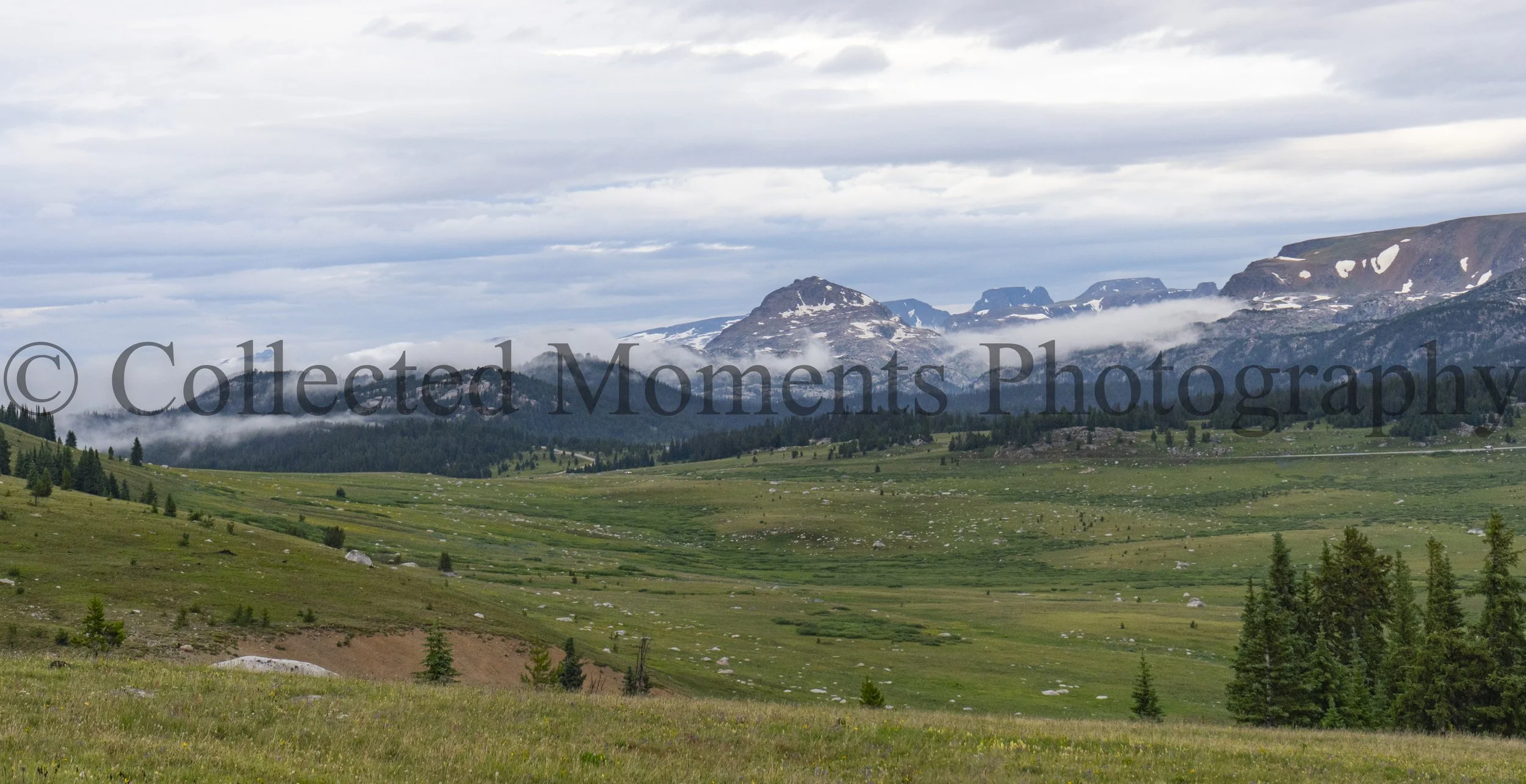Scenic view of green rolling hills with patches of trees, distant mountains with snow patches, and a cloudy sky.