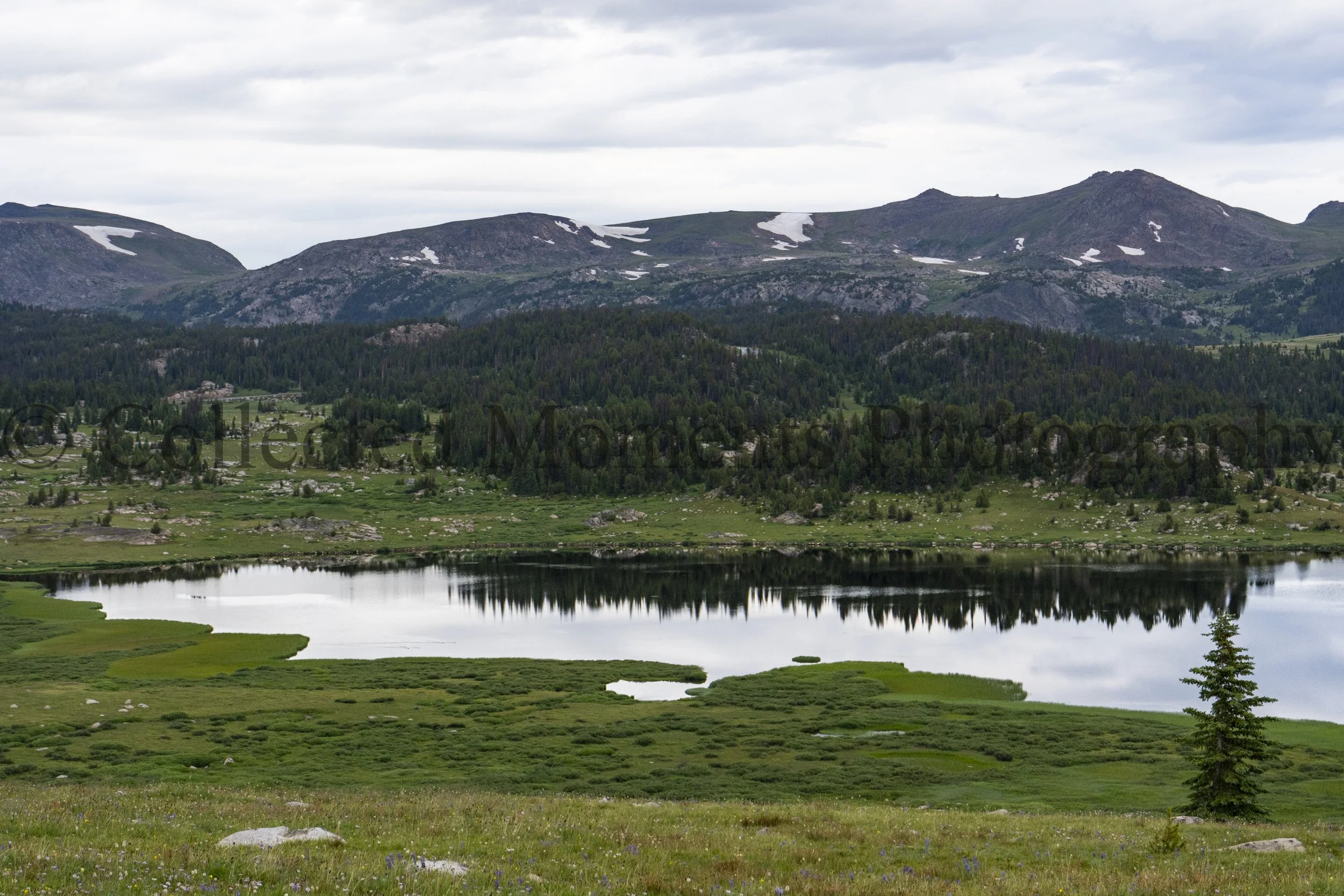 Scenic landscape with mountains, a reflective lake, forested slopes, and a grassy foreground.