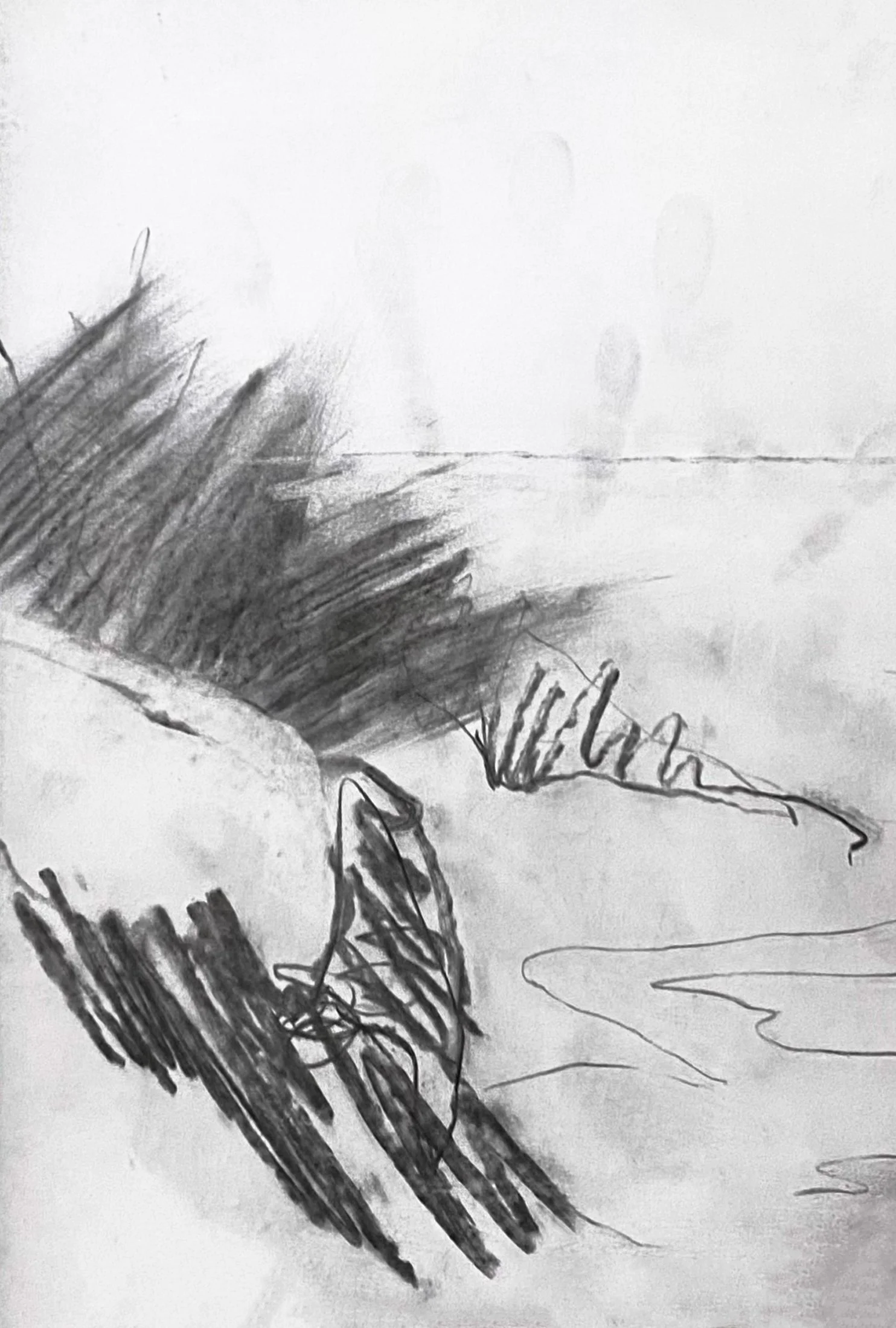 Expressive charcoal and graphite landscape study
