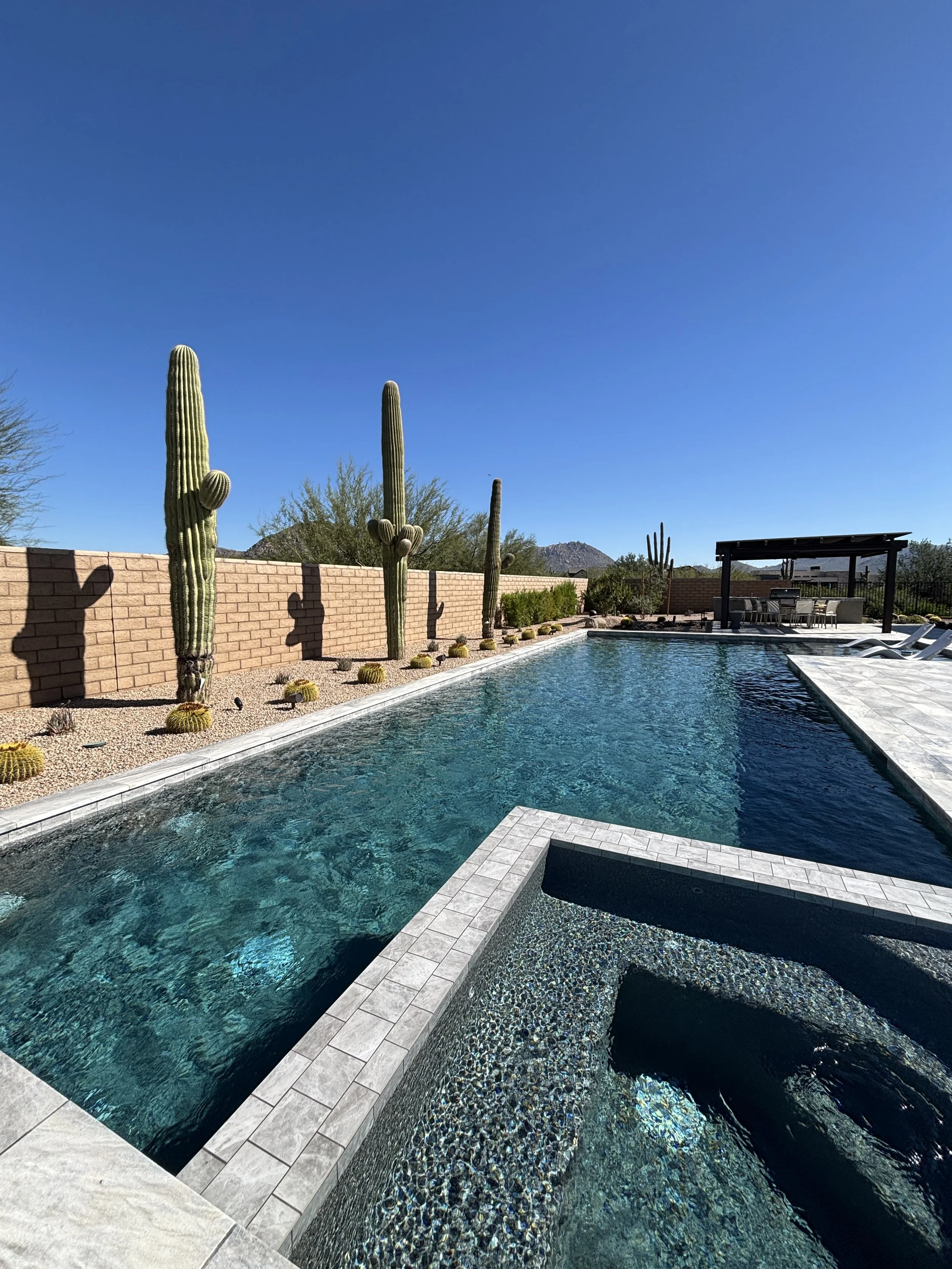 Poolside scene with a swimming pool, tall cacti, a brick wall, outdoor furniture, and mountain scenery in the background under a clear blue sky.