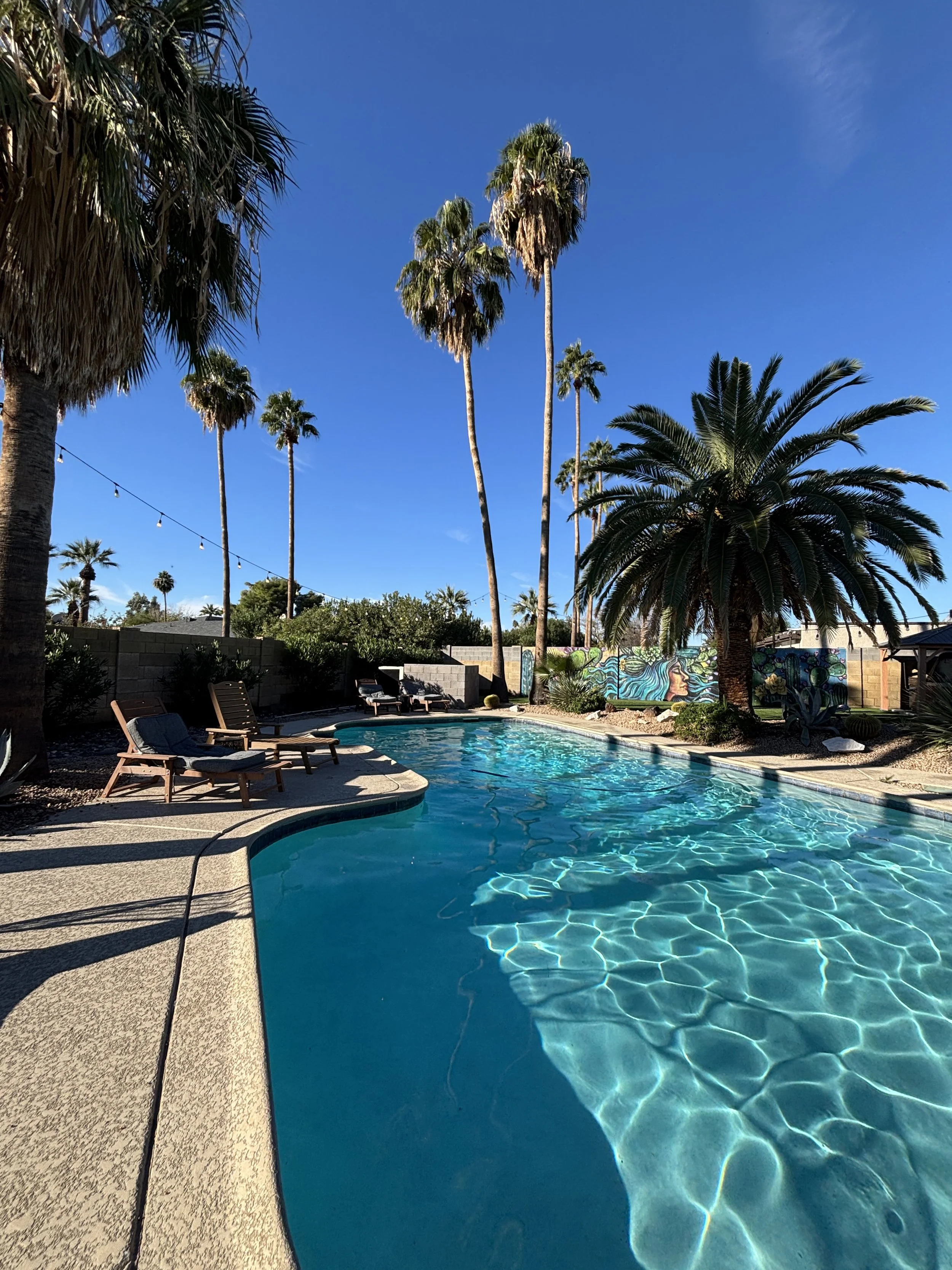 A backyard with a swimming pool surrounded by palm trees, lounge chairs, and a mural mural on the wall, under a clear blue sky.