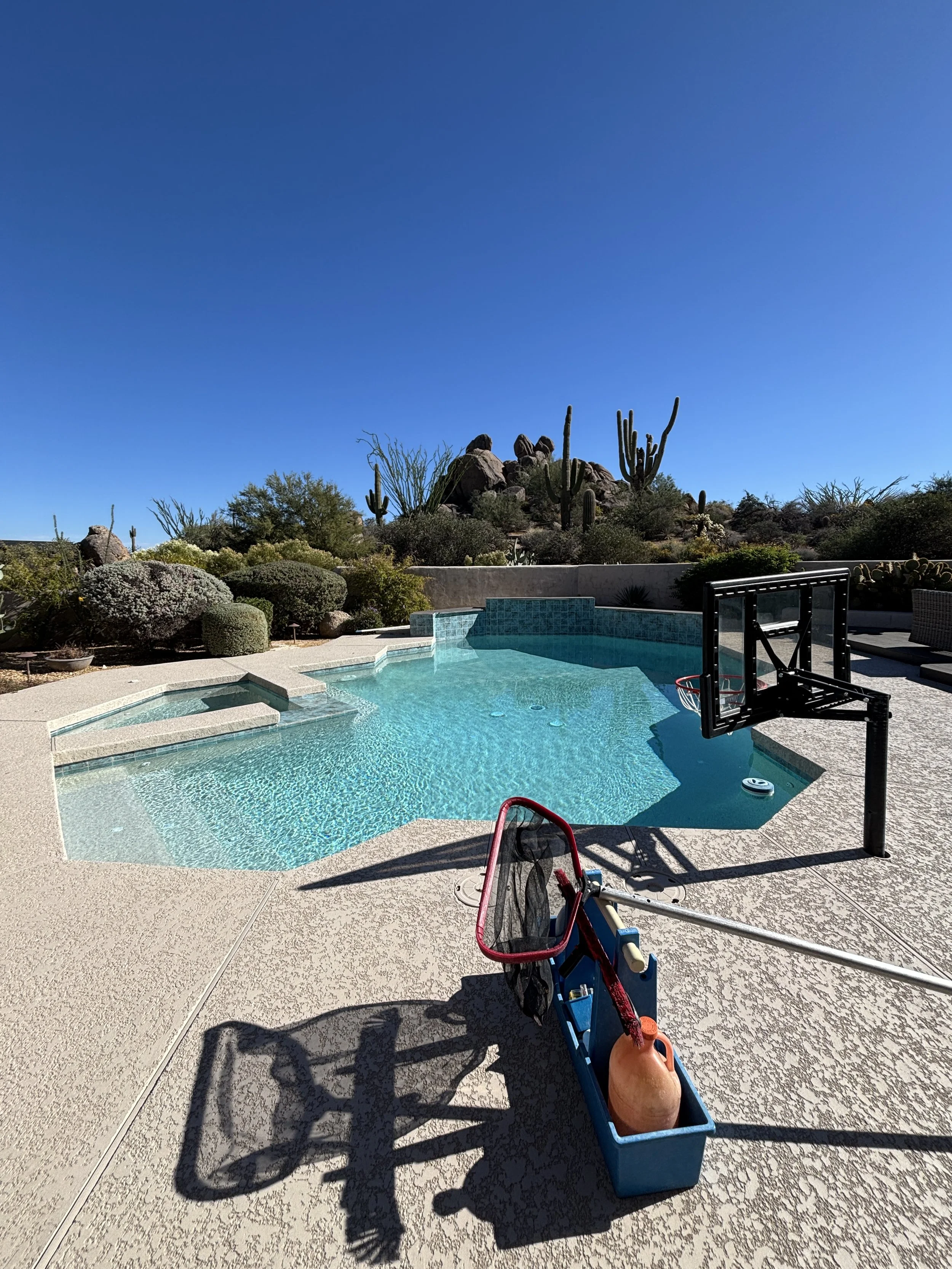 A backyard swimming pool with cactus desert landscape in the background, and a small basketball hoop near the pool. A red inflatable pool toy and pool cleaning tools are in a blue container on the deck. The sky is clear and bright blue.