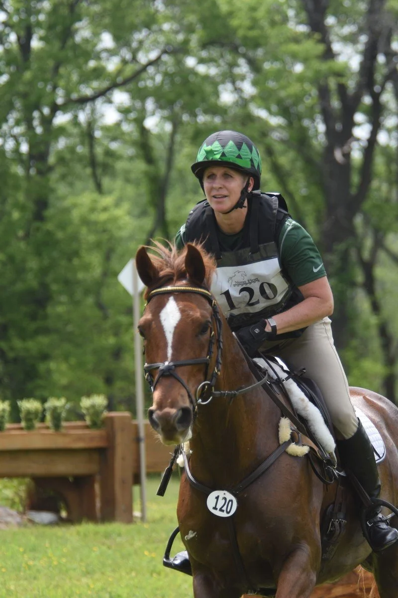 Cross Country Horse